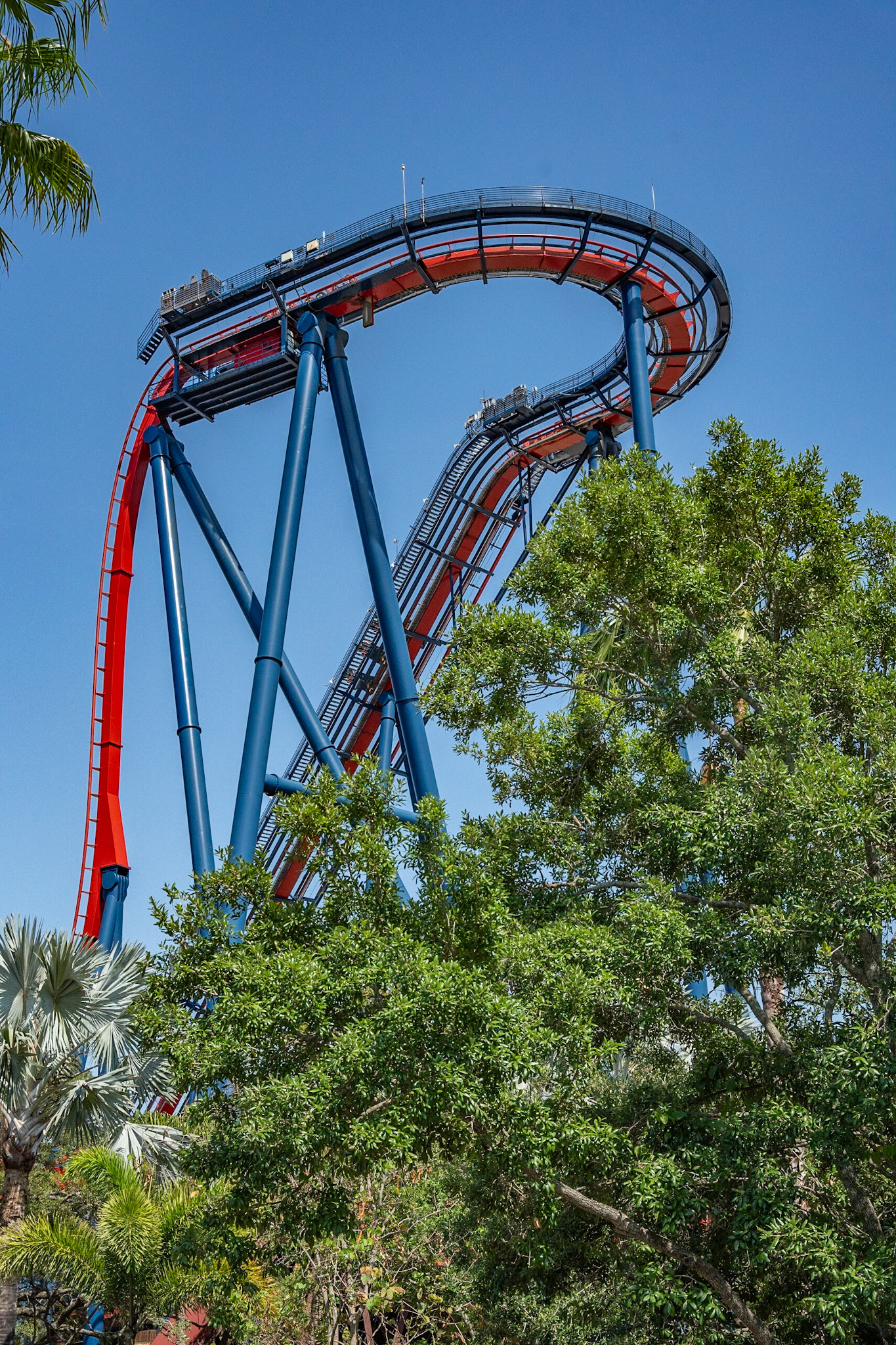 Photo by Jon Roost (www.jonroostphotos.com)