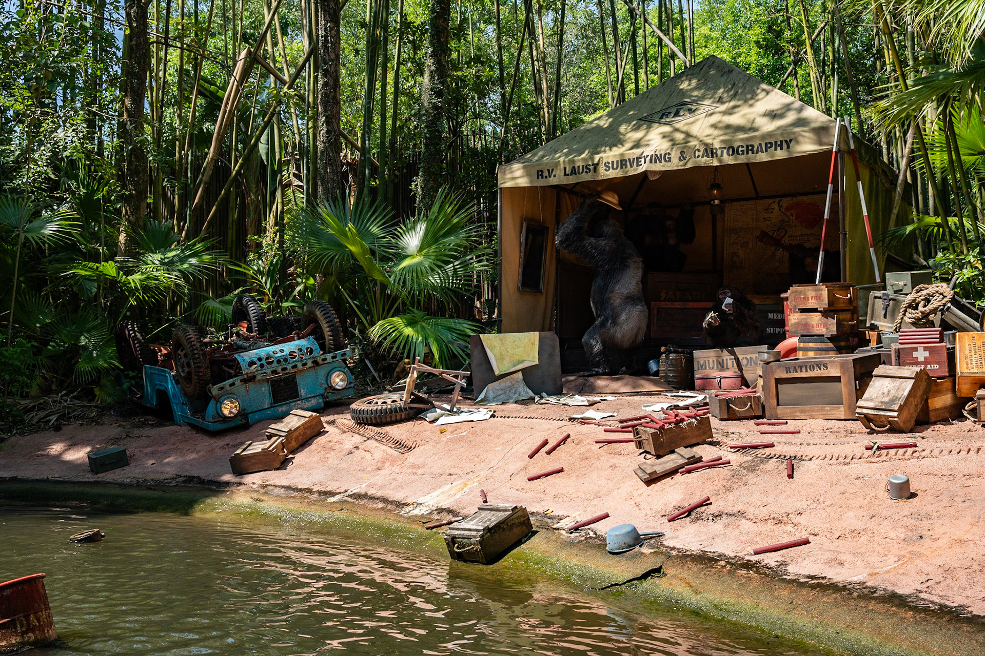 Photo by Jon Roost (www.jonroostphotos.com)