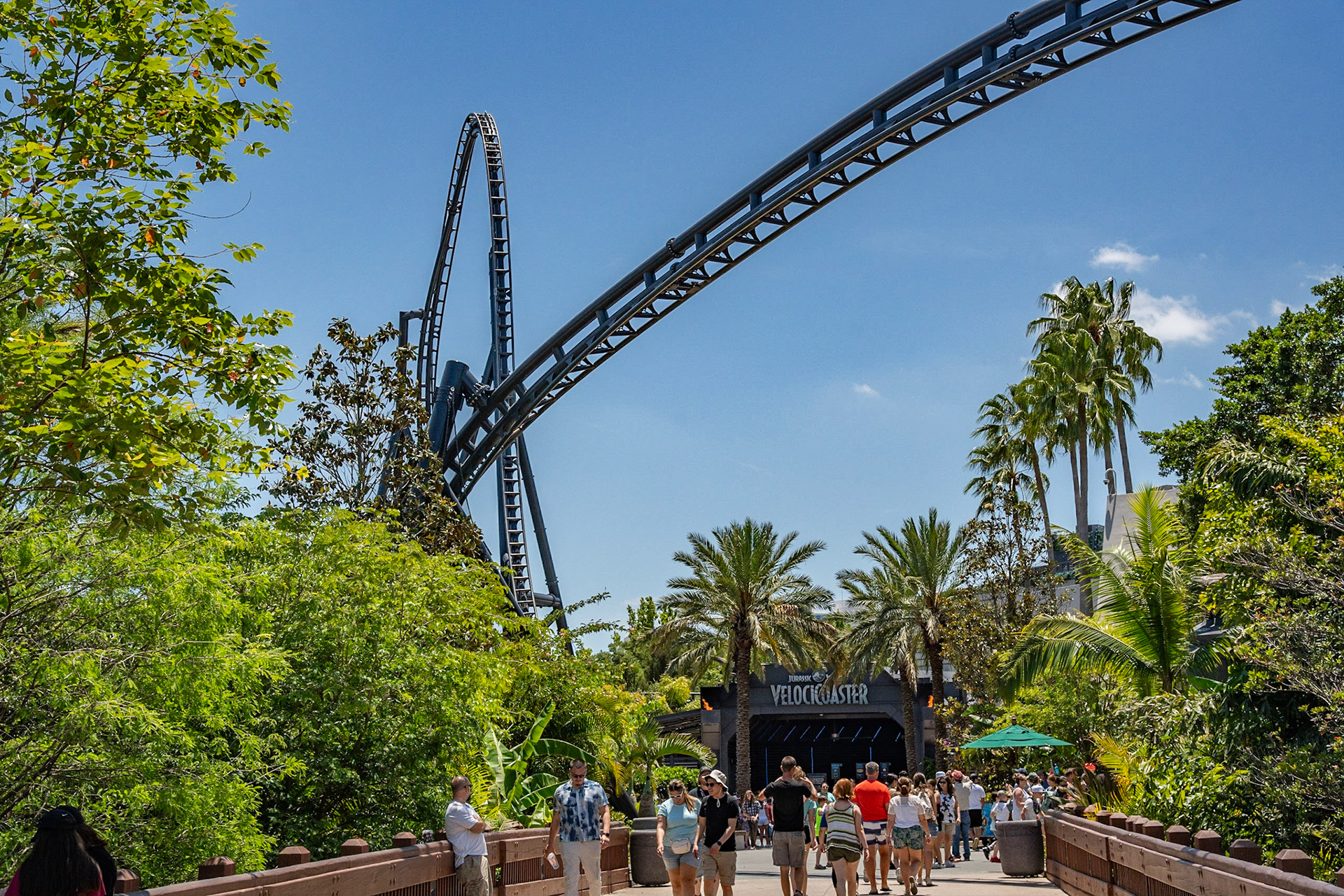 Photo by Jon Roost (www.jonroostphotos.com)