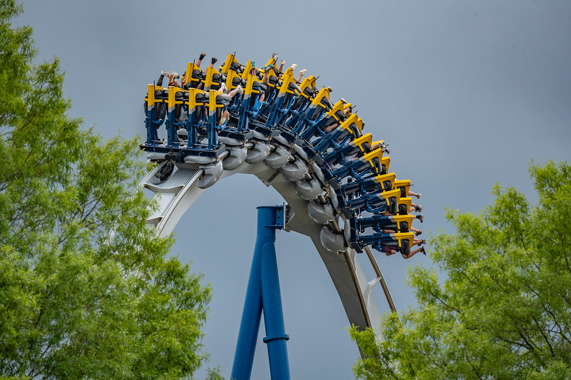 Photo by Jon Roost (www.jonroostphotos.com)