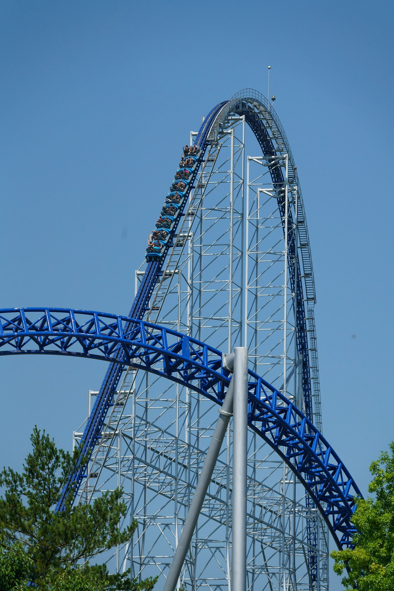 Photo by Jon Roost (www.jonroostphotos.com)