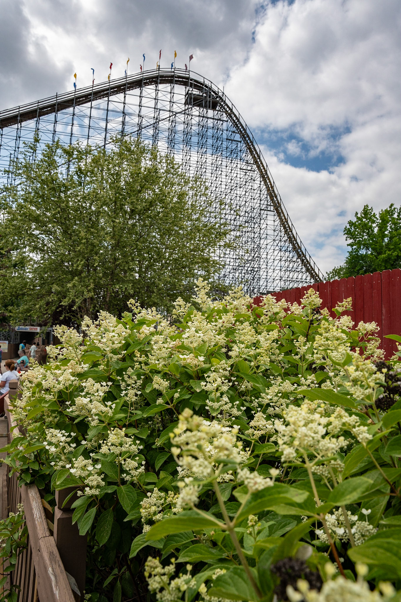 Photo by Jon Roost (www.jonroostphotos.com)