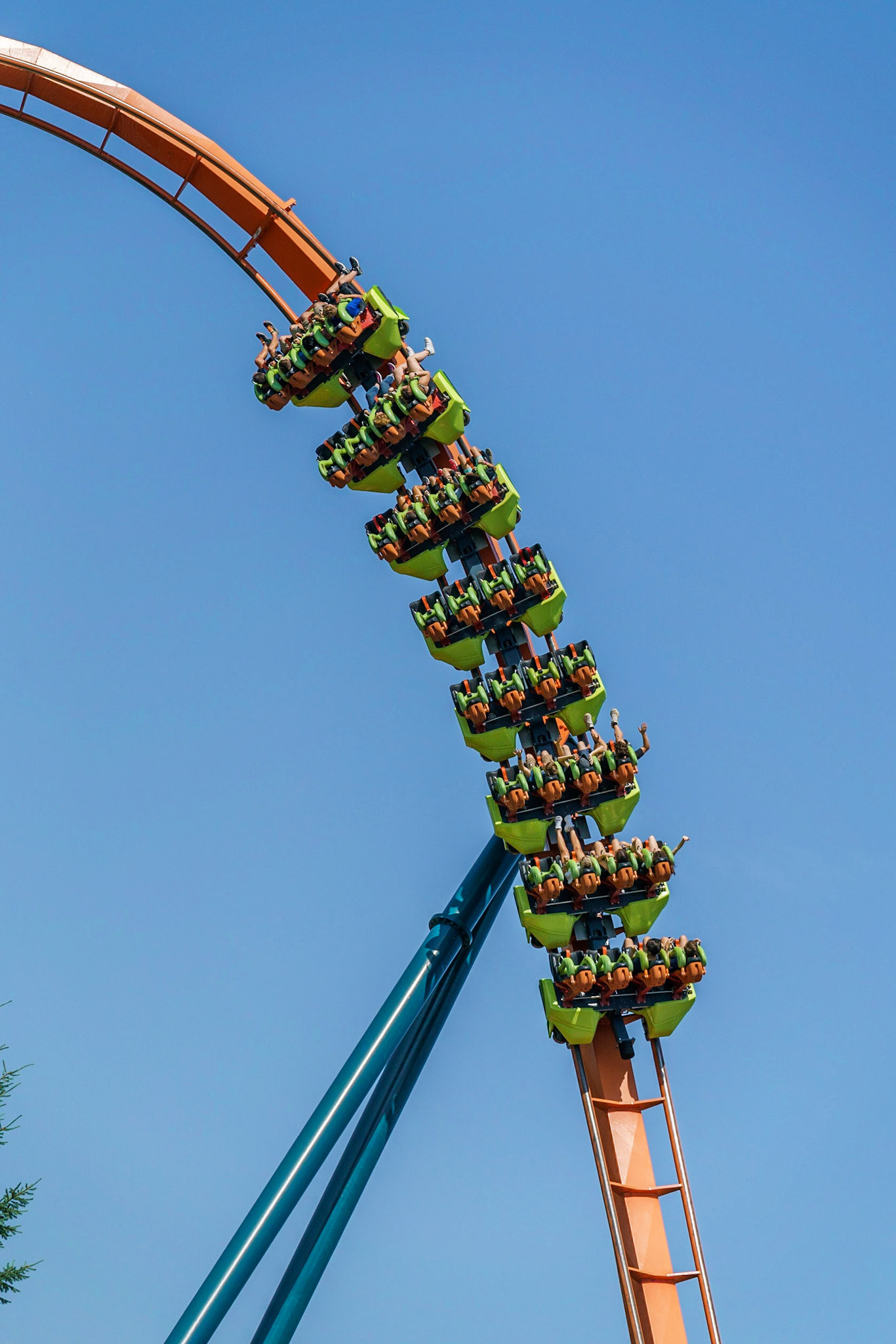 Photo by Jon Roost (www.jonroostphotos.com)