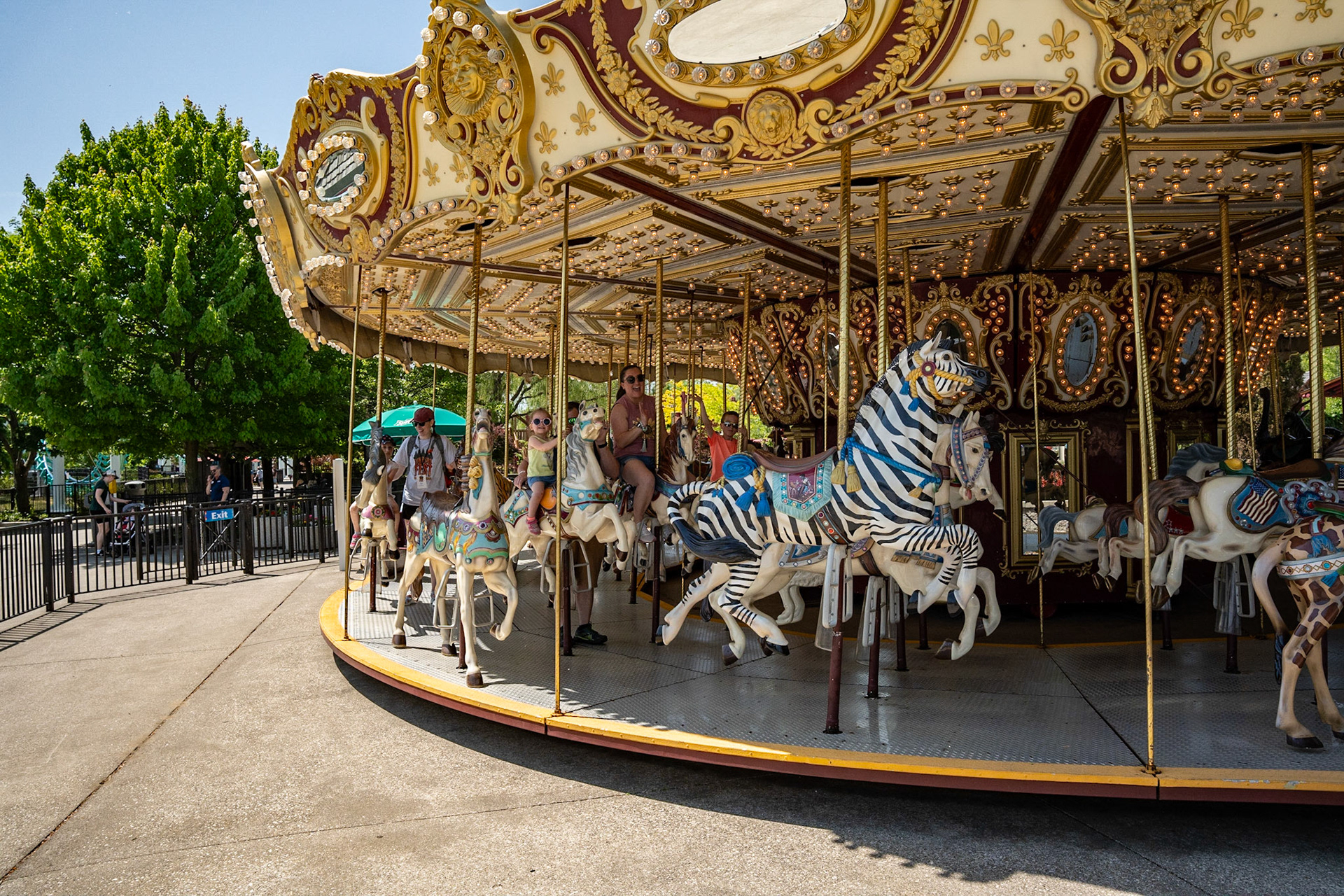 Photo by Jon Roost (www.jonroostphotos.com)