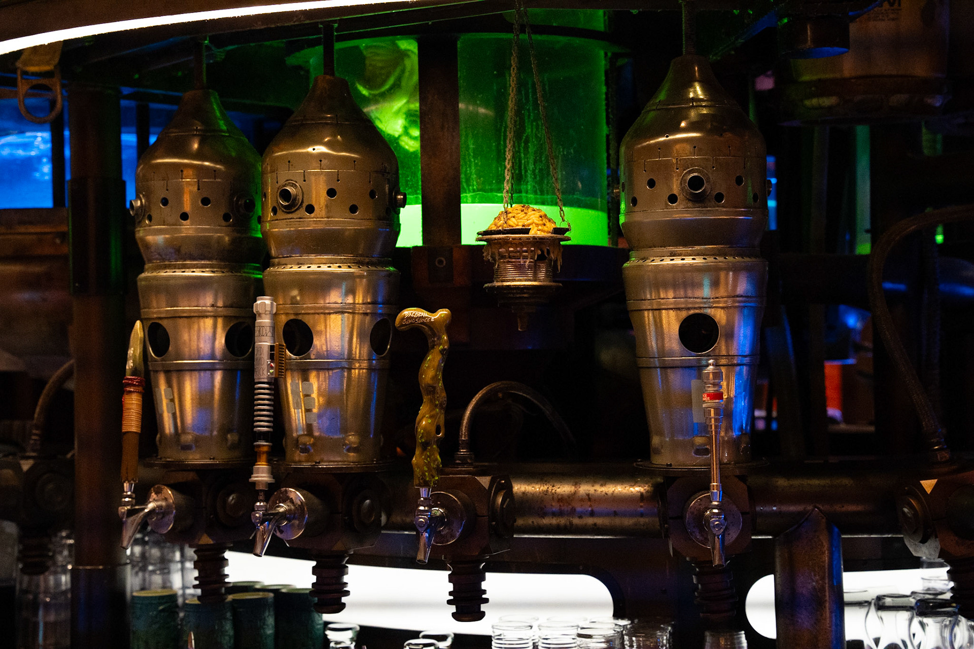 Photo by Jon Roost (www.jonroostphotos.com)