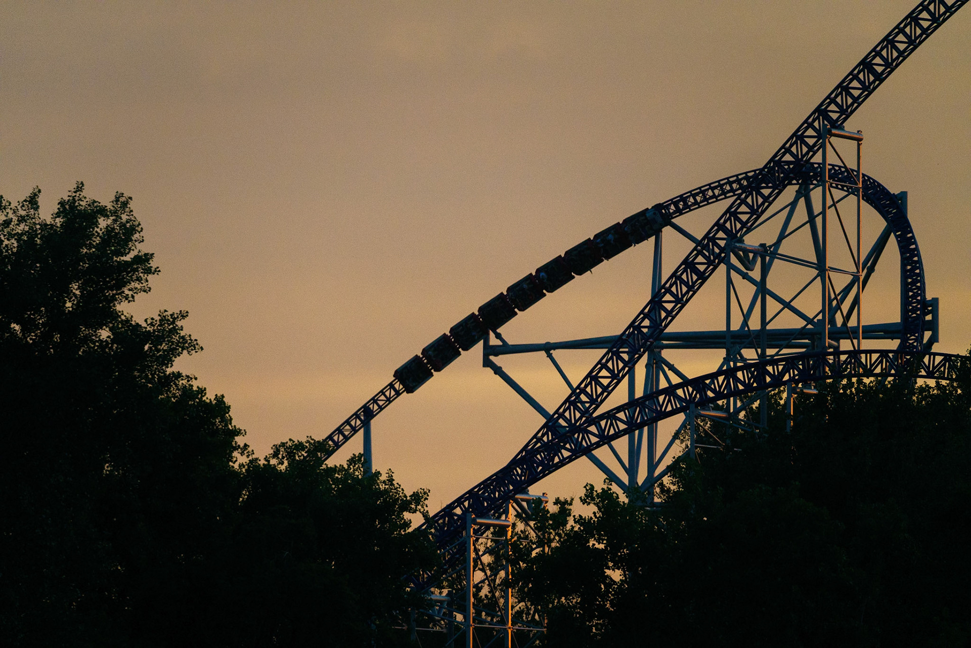 Photo by Jon Roost (www.jonroostphotos.com)