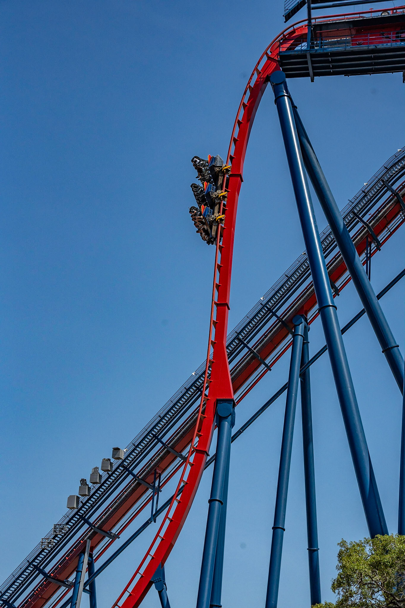 Photo by Jon Roost (www.jonroostphotos.com)