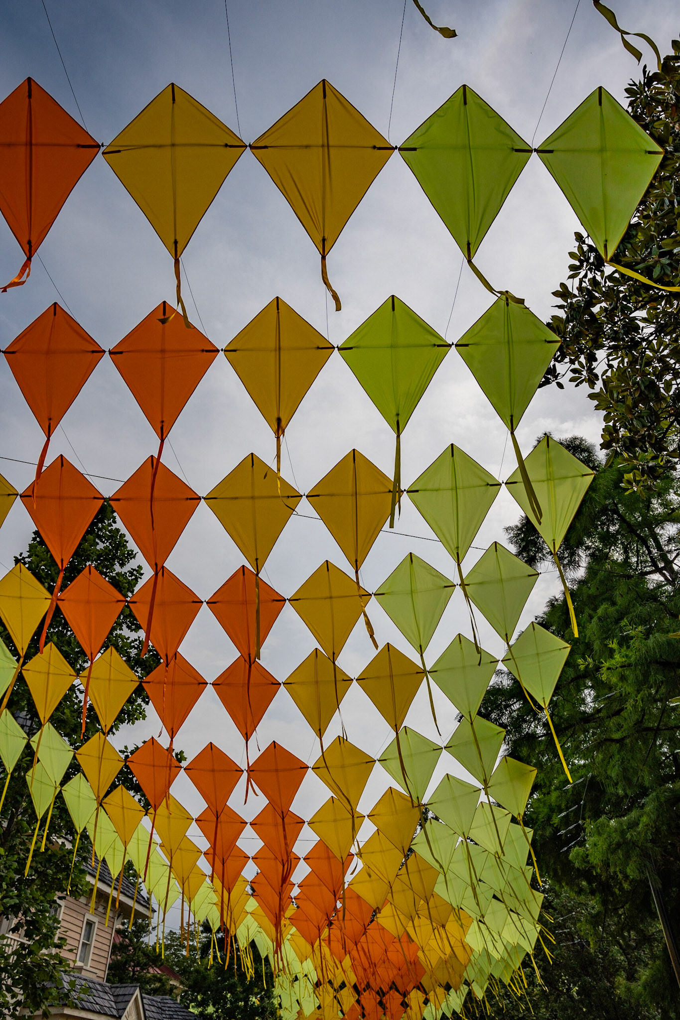 Photo by Jon Roost (www.jonroostphotos.com)