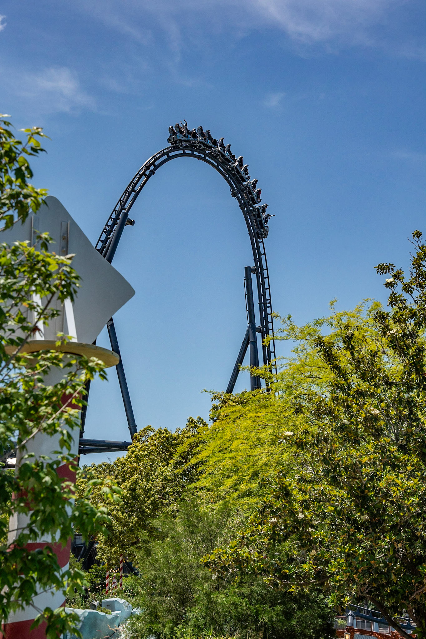 Photo by Jon Roost (www.jonroostphotos.com)