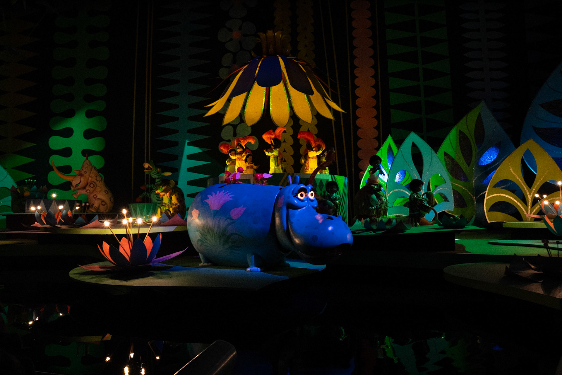 Photo by Jon Roost (www.jonroostphotos.com)