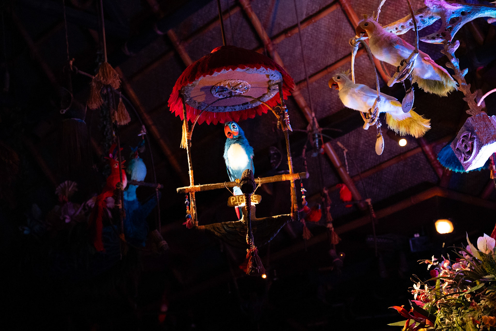 Photo by Jon Roost (www.jonroostphotos.com)