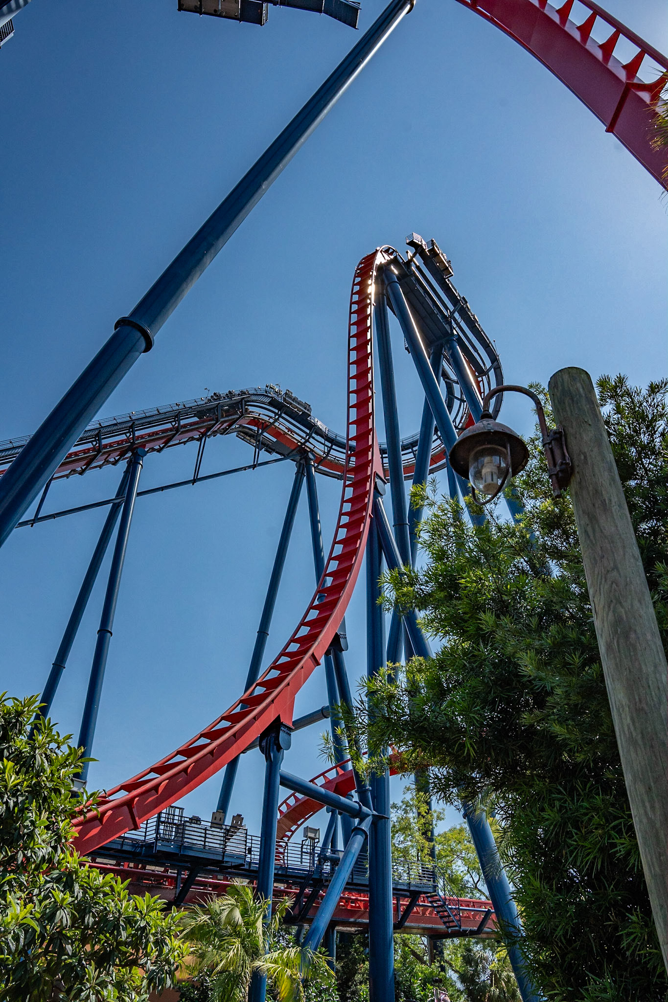 Photo by Jon Roost (www.jonroostphotos.com)