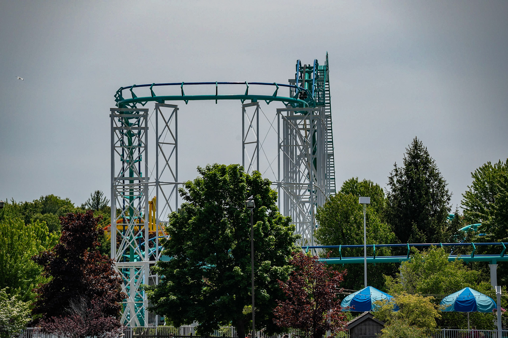 Photo by Jon Roost (www.jonroostphotos.com)