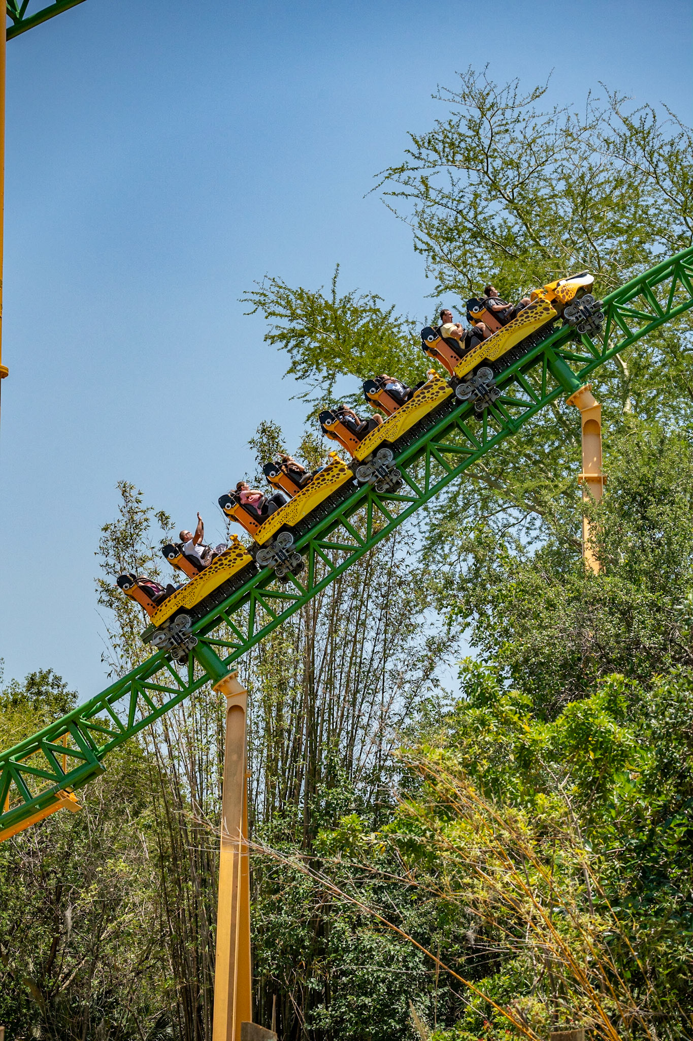 Photo by Jon Roost (www.jonroostphotos.com)