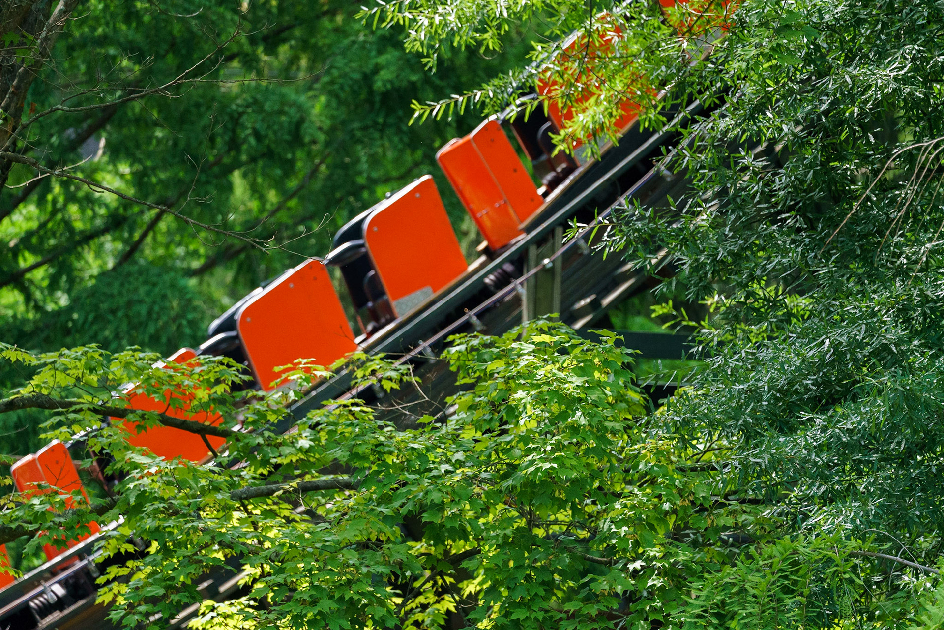 Photo by Jon Roost (www.jonroostphotos.com)