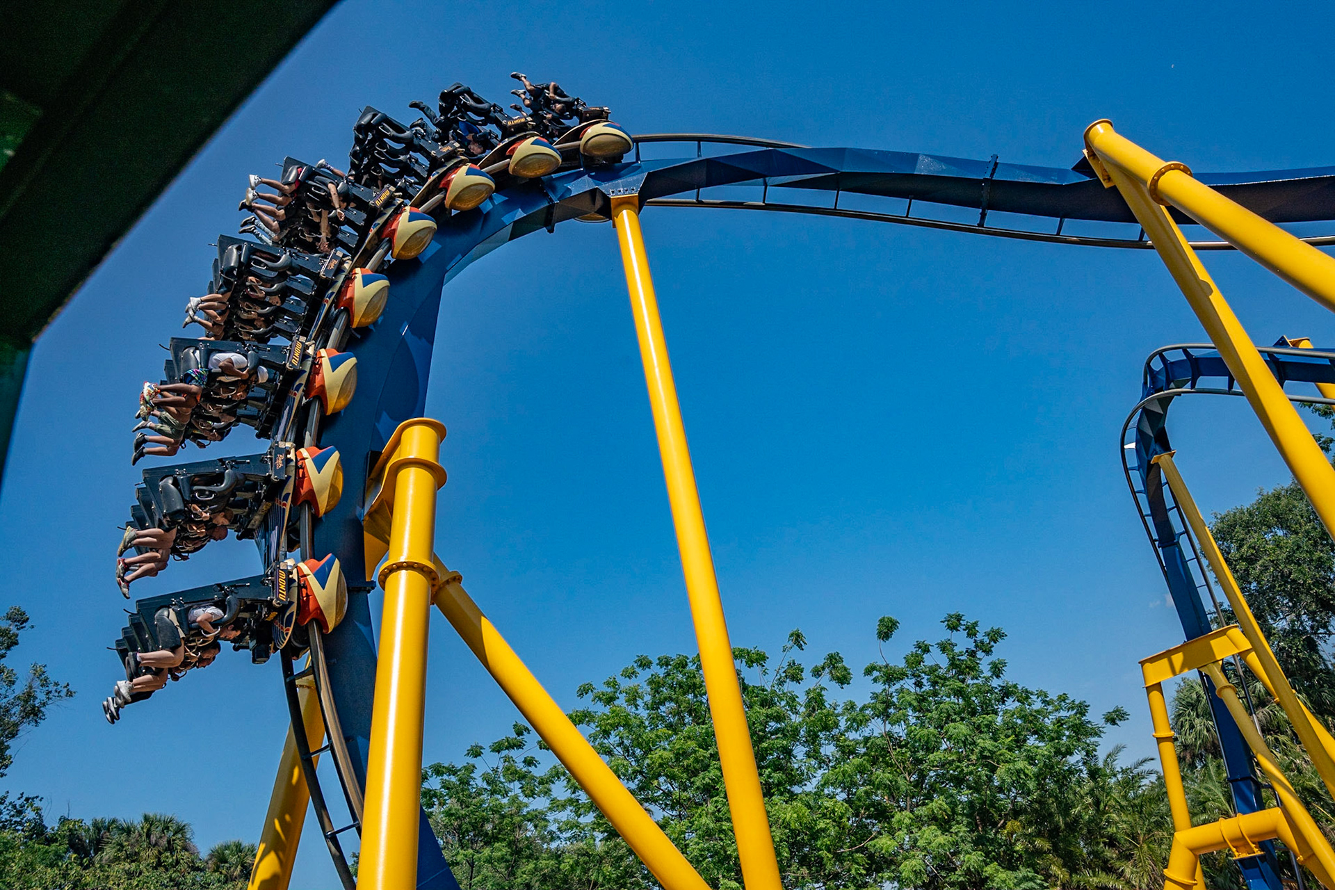 Photo by Jon Roost (www.jonroostphotos.com)