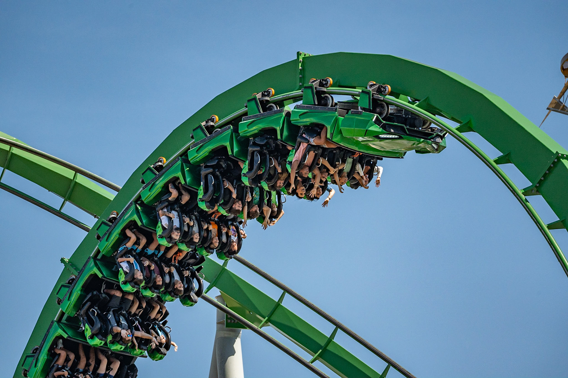 Photo by Jon Roost (www.jonroostphotos.com)