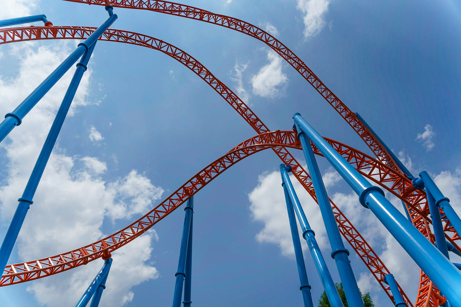 Photo by Jon Roost (www.jonroostphotos.com)