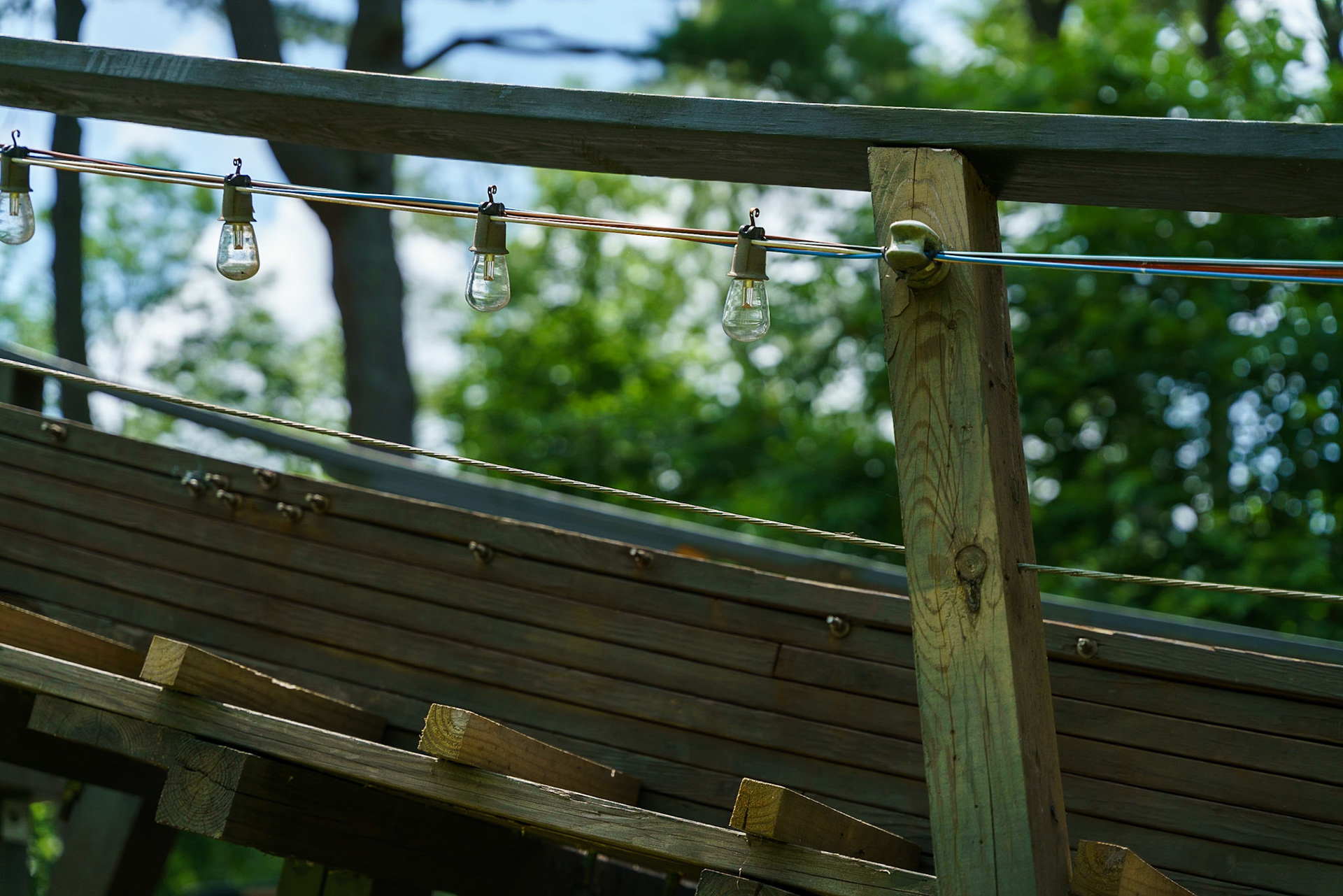 Photo by Jon Roost (www.jonroostphotos.com)