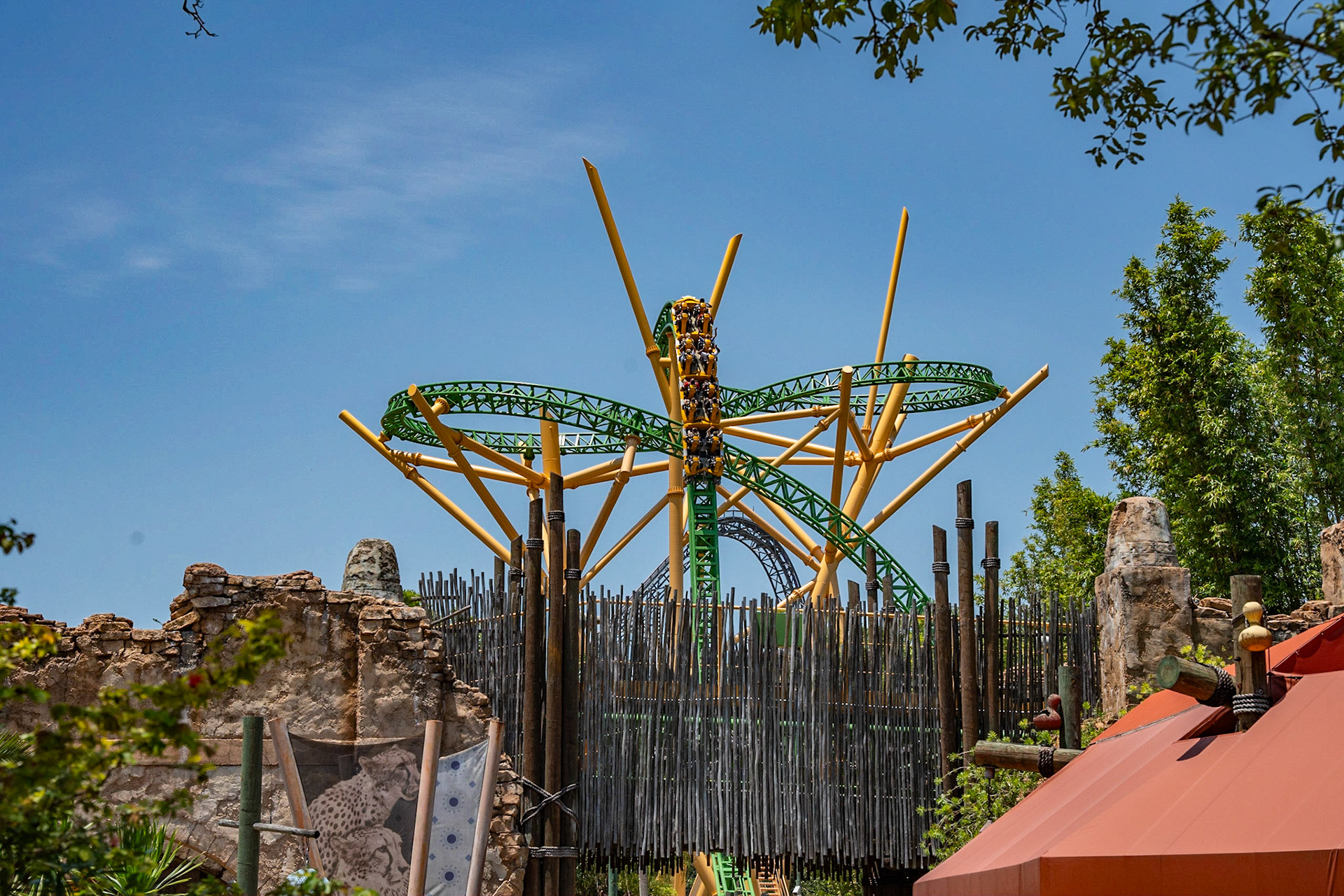 Photo by Jon Roost (www.jonroostphotos.com)