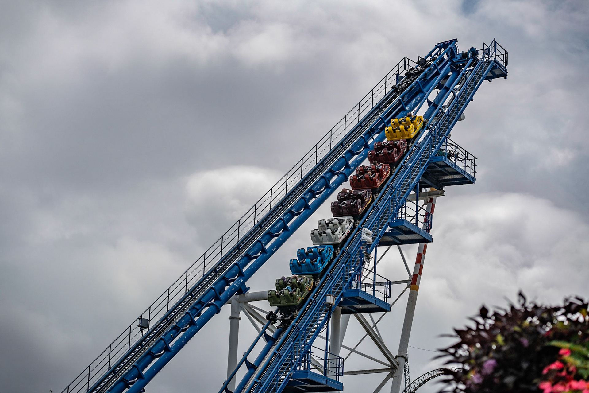 Photo by Jon Roost (www.jonroostphotos.com)