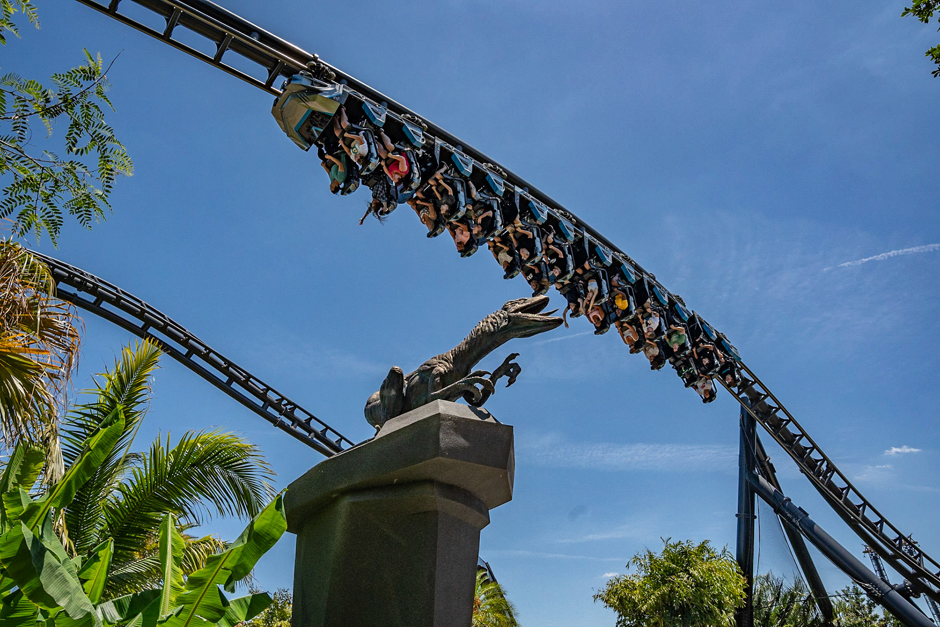 Photo by Jon Roost (www.jonroostphotos.com)