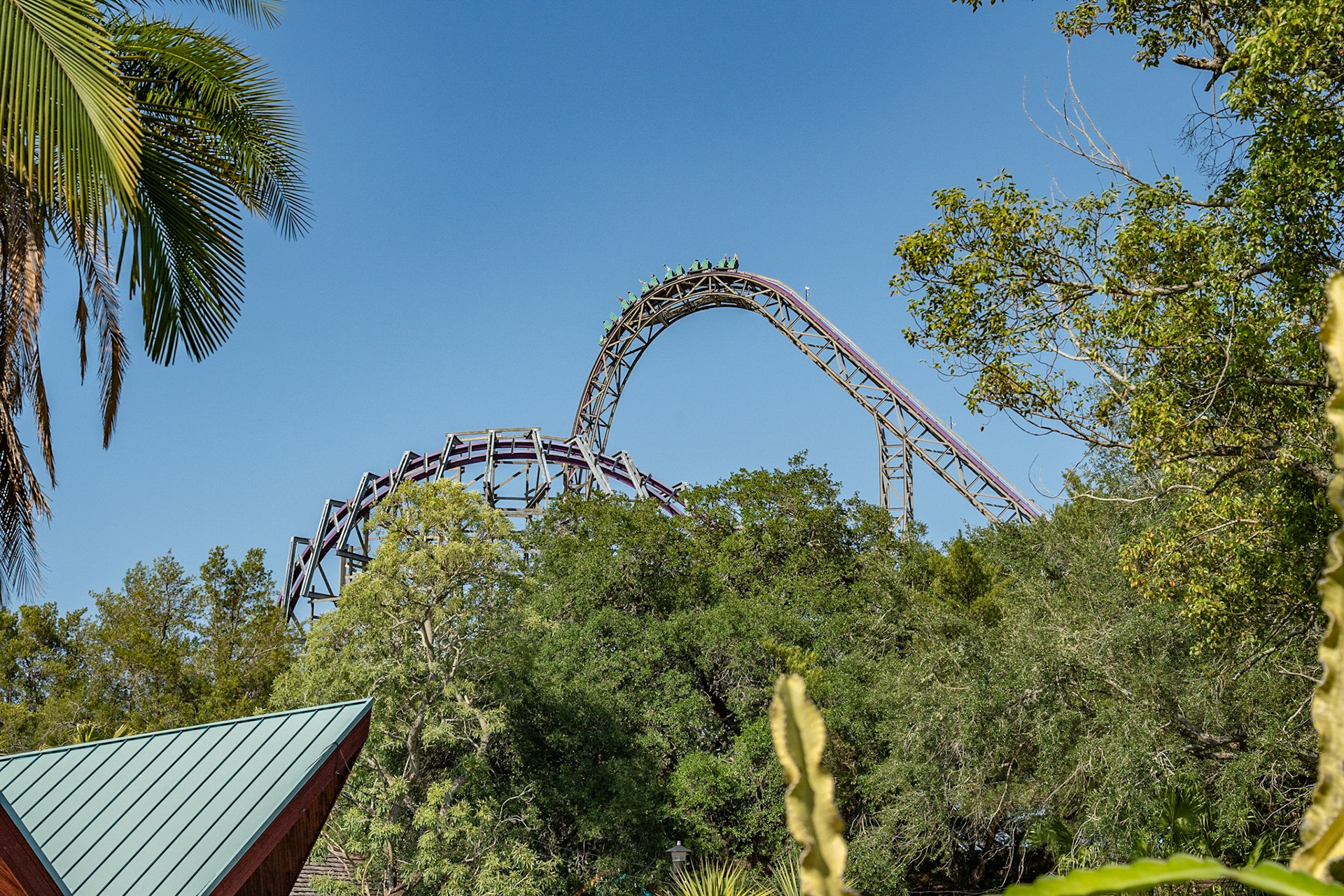 Photo by Jon Roost (www.jonroostphotos.com)