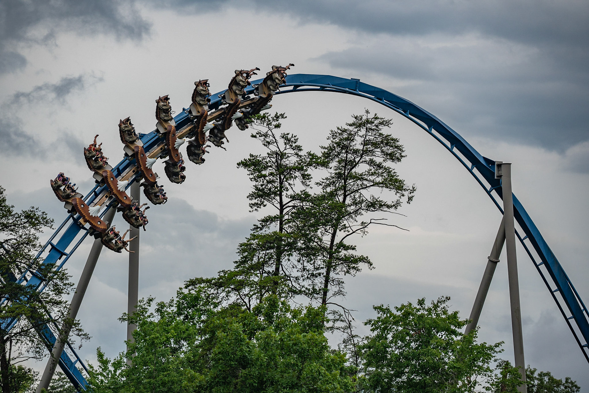 Photo by Jon Roost (www.jonroostphotos.com)