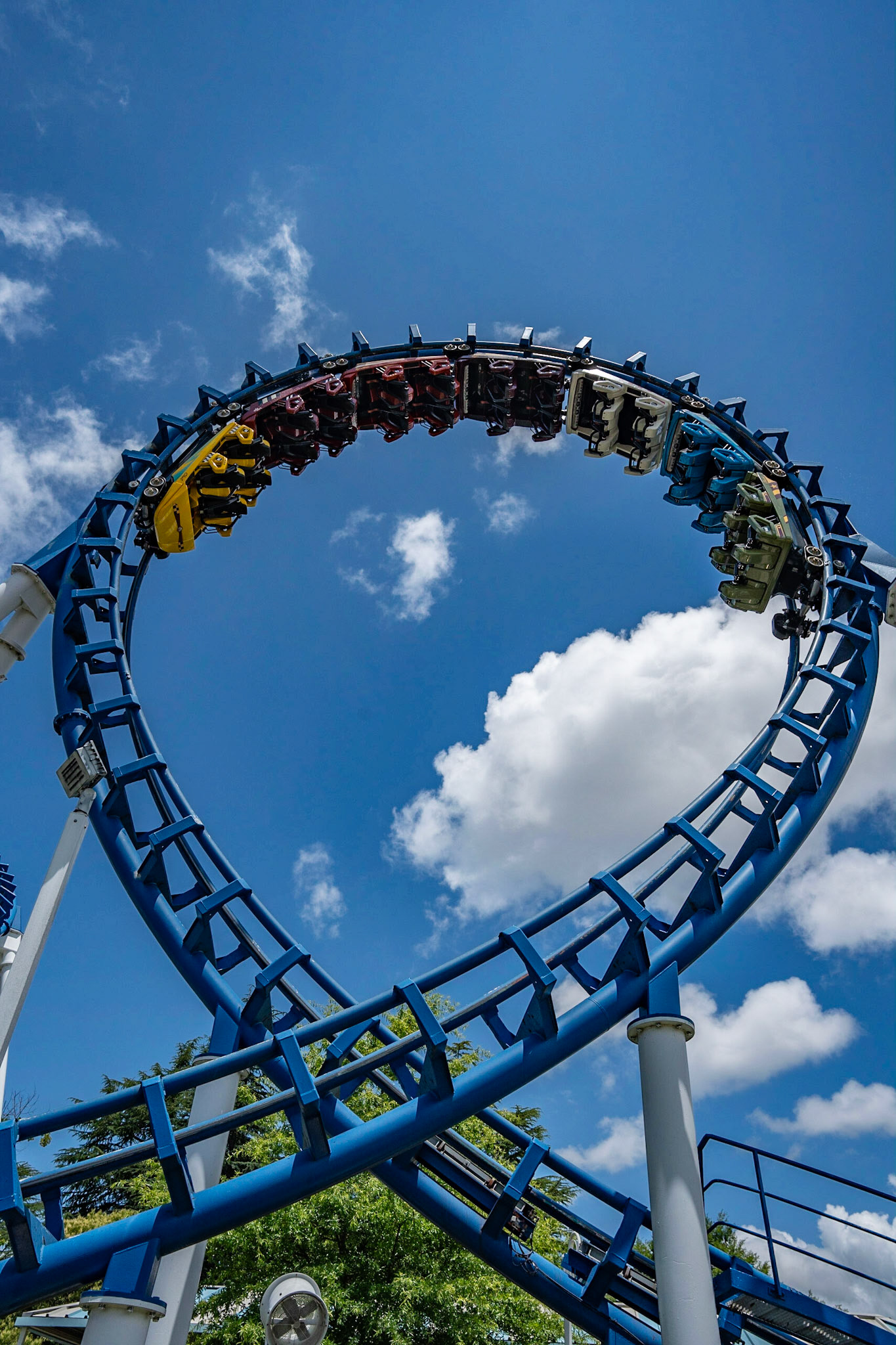 Photo by Jon Roost (www.jonroostphotos.com)