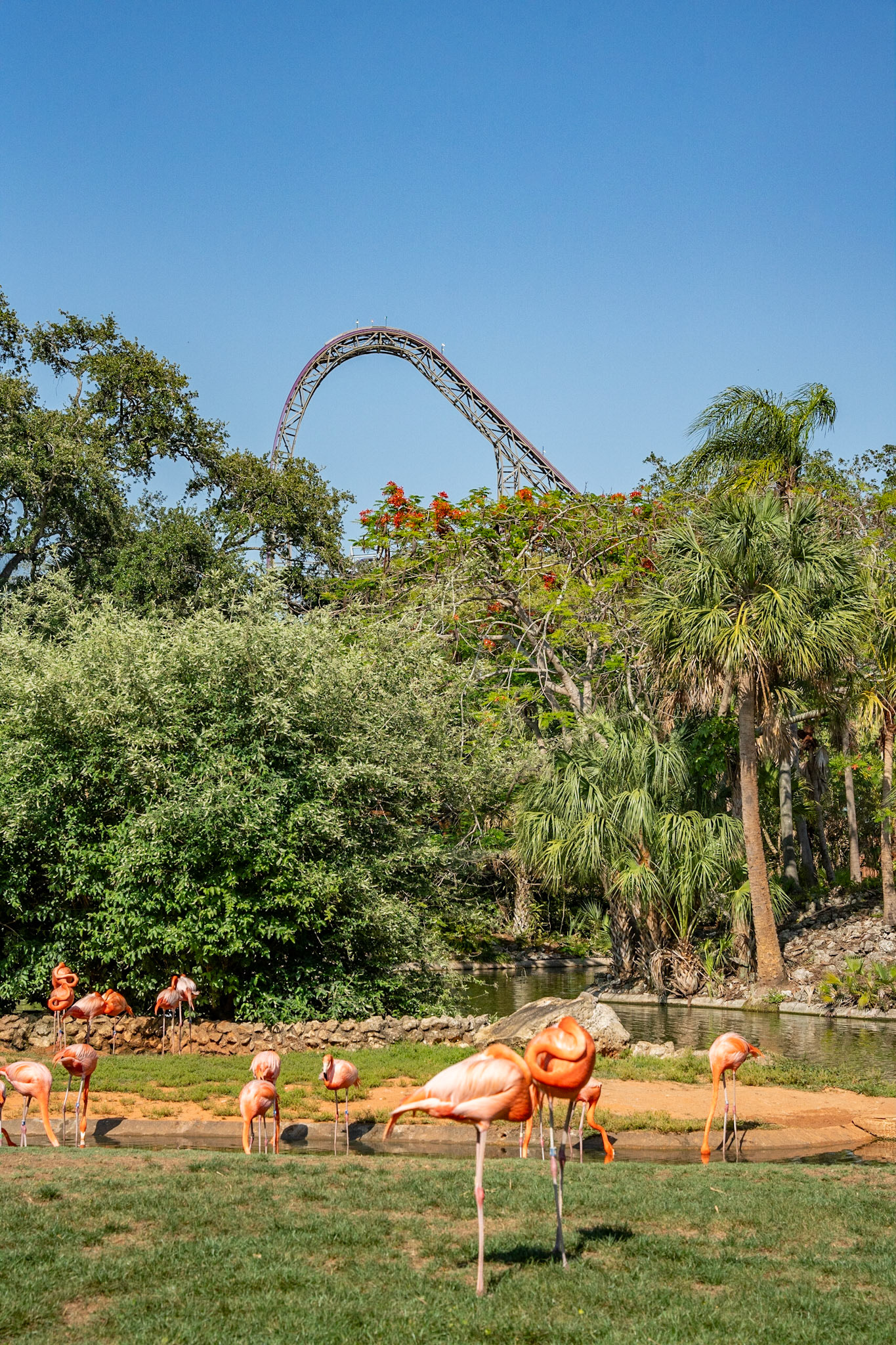 Photo by Jon Roost (www.jonroostphotos.com)