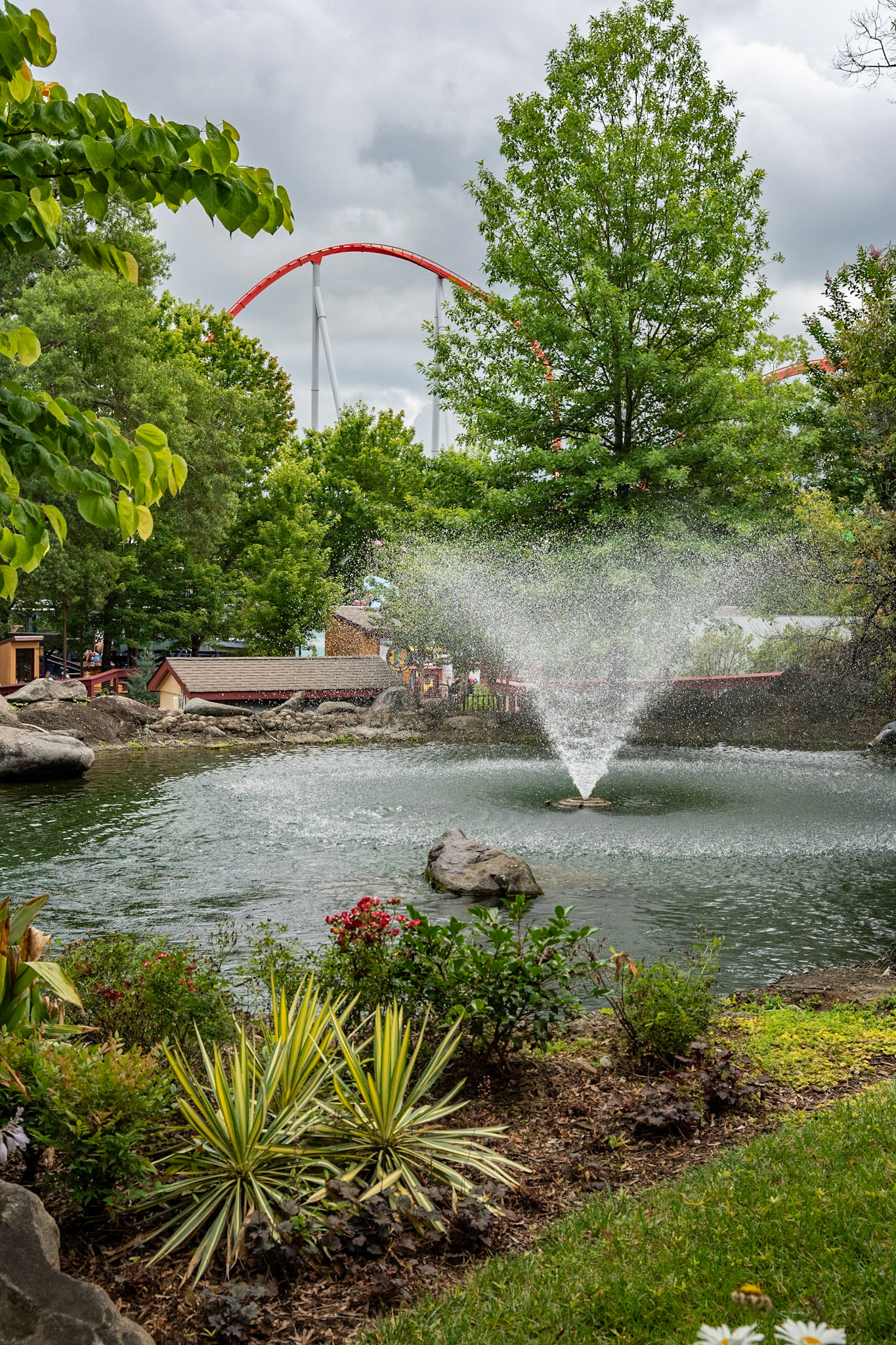 Photo by Jon Roost (www.jonroostphotos.com)