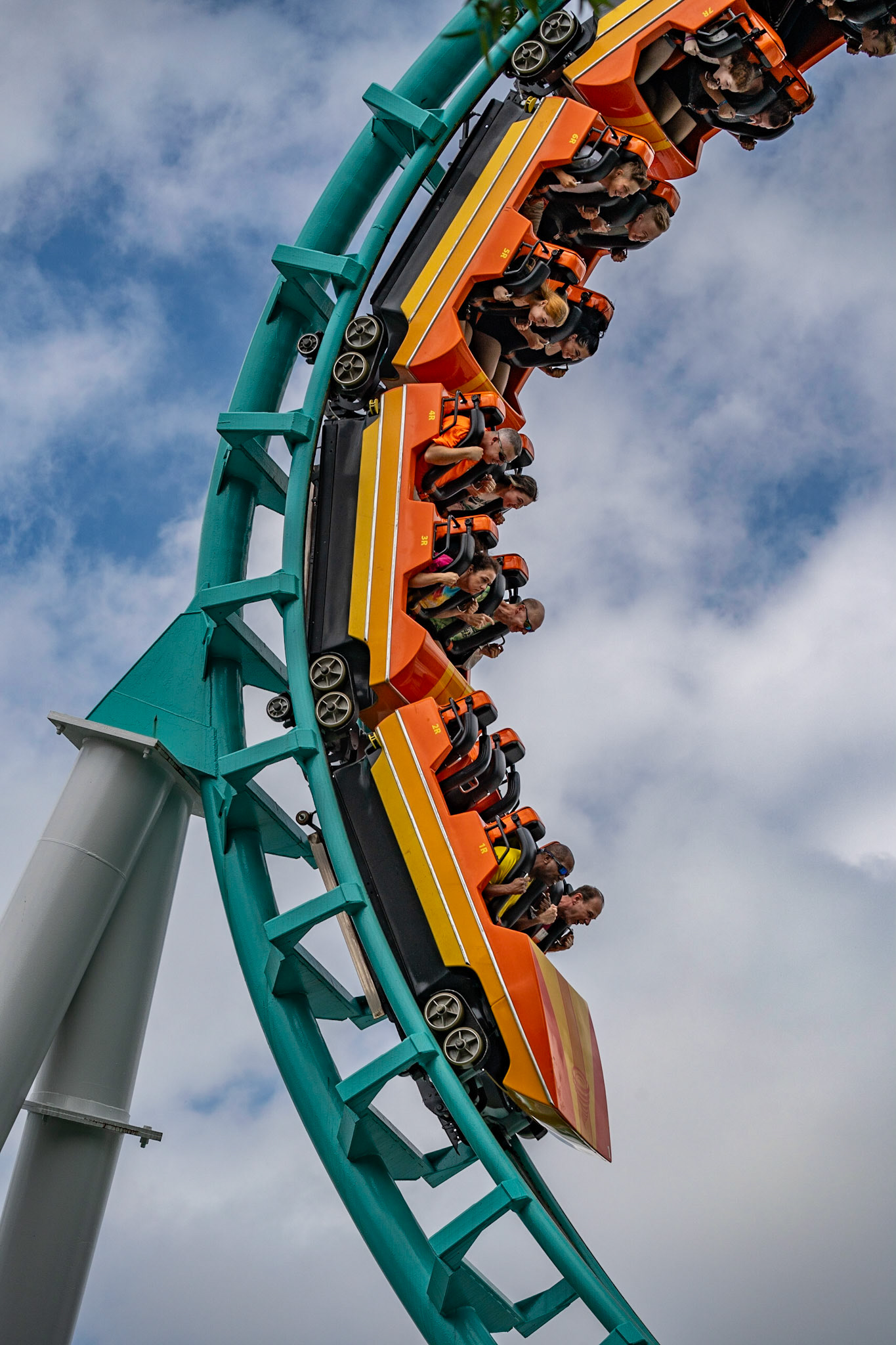 Photo by Jon Roost (www.jonroostphotos.com)