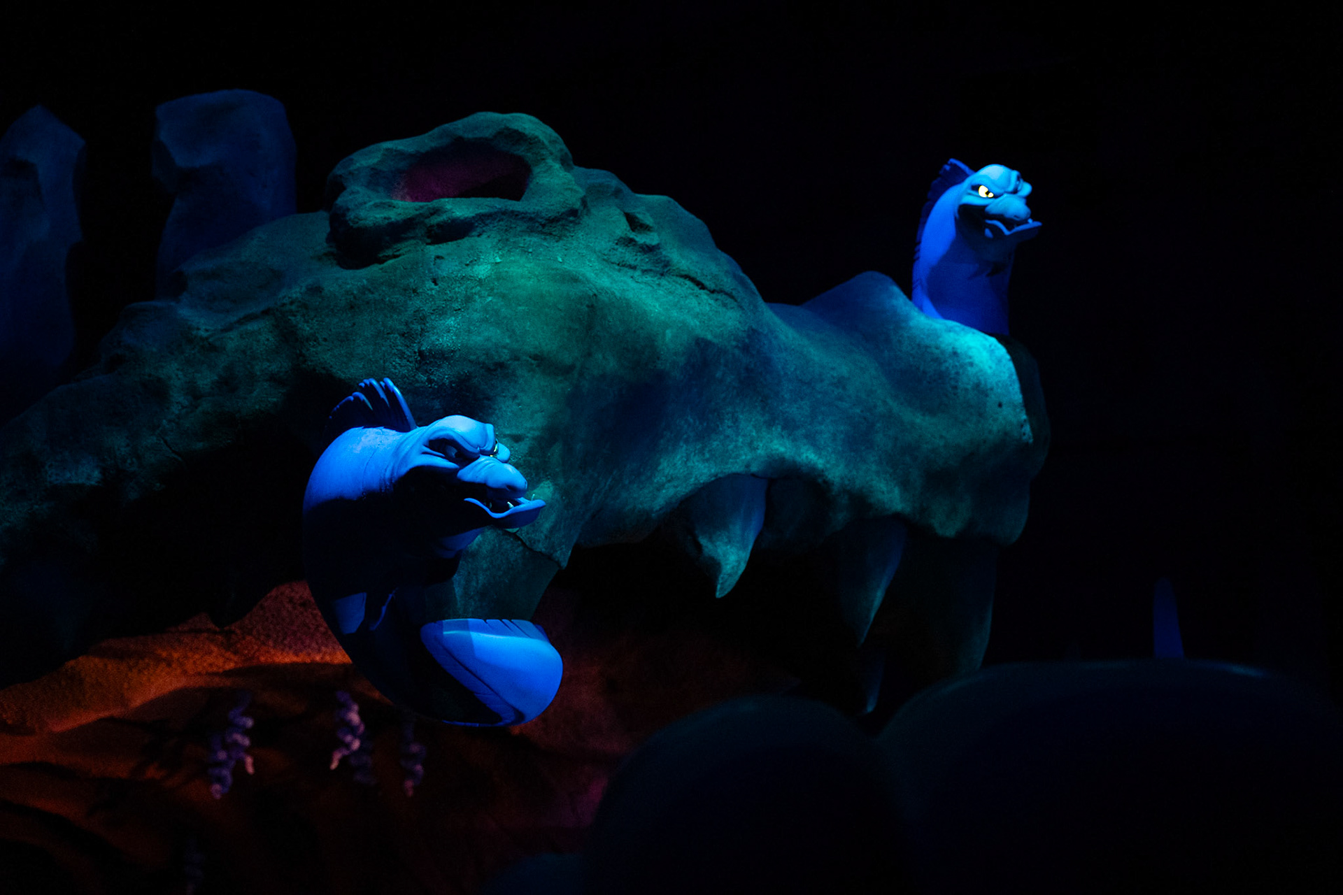 Photo by Jon Roost (www.jonroostphotos.com)