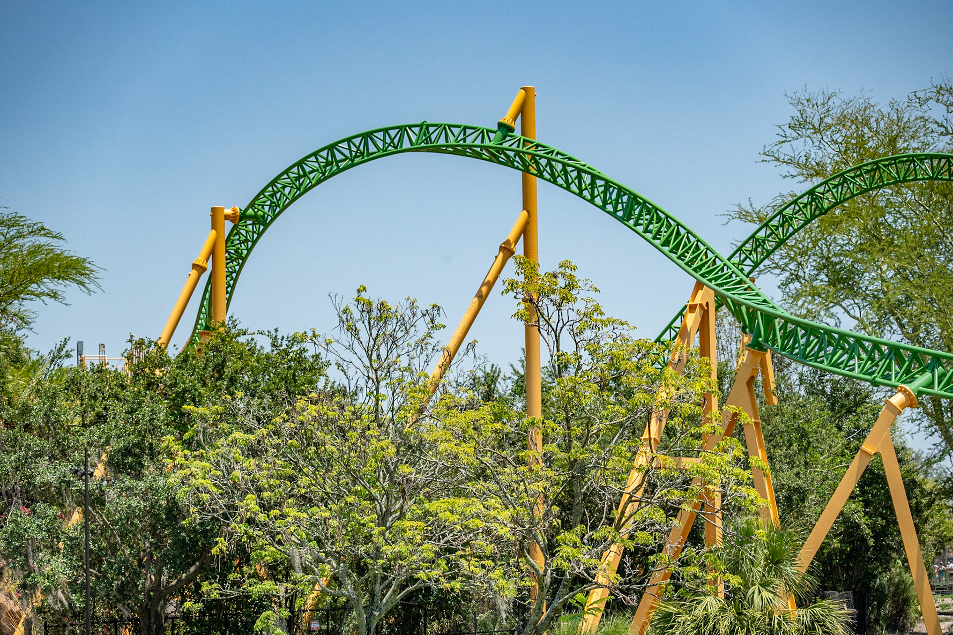 Photo by Jon Roost (www.jonroostphotos.com)