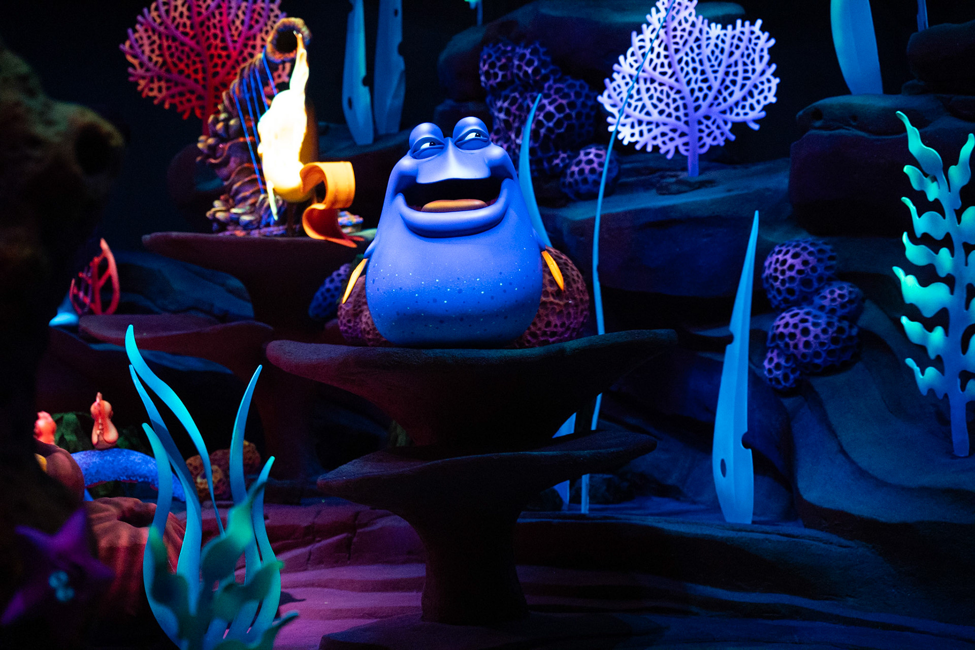 Photo by Jon Roost (www.jonroostphotos.com)