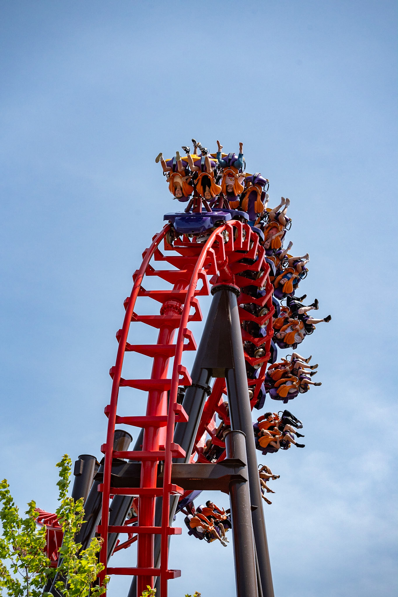 Photo by Jon Roost (www.jonroostphotos.com)