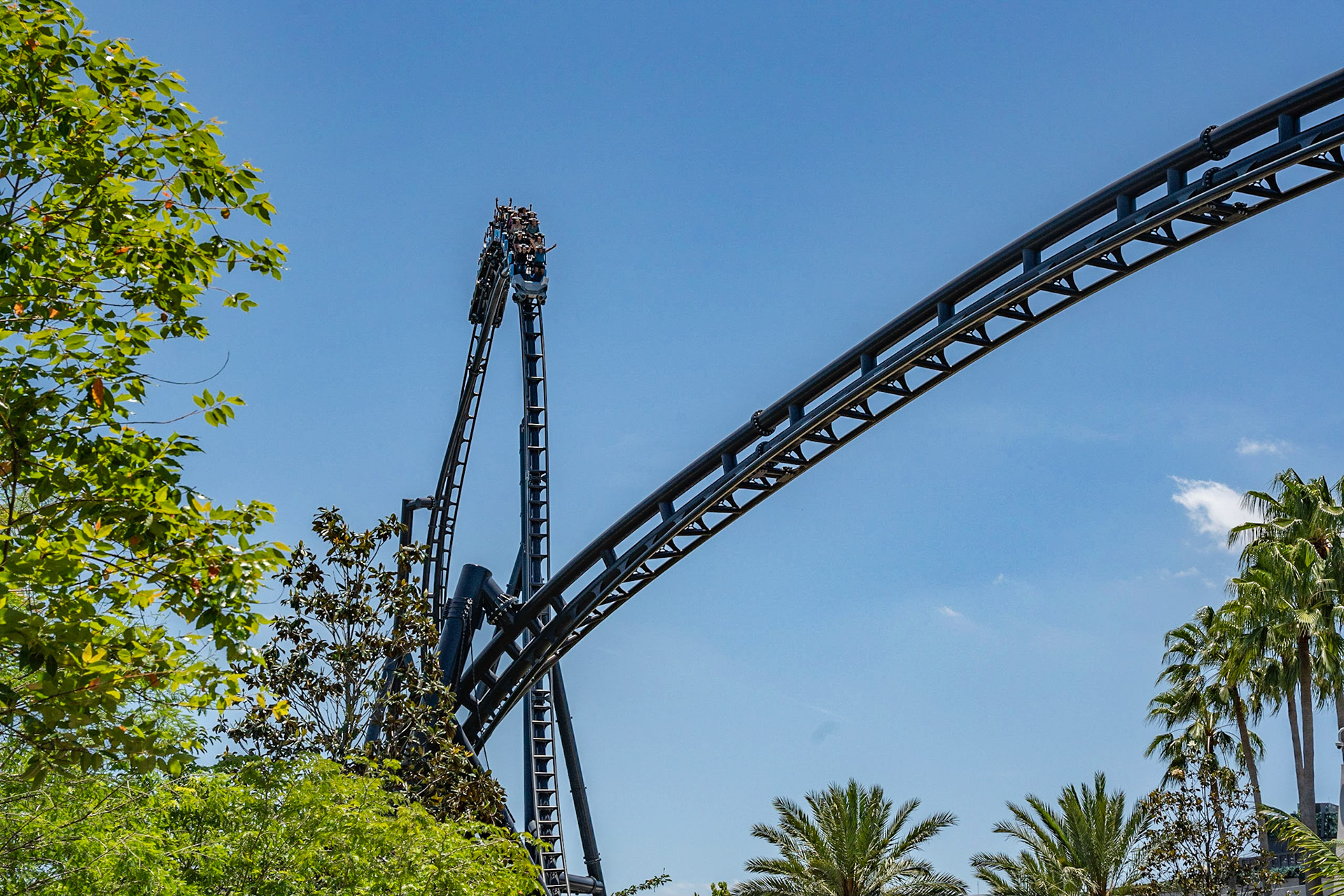 Photo by Jon Roost (www.jonroostphotos.com)