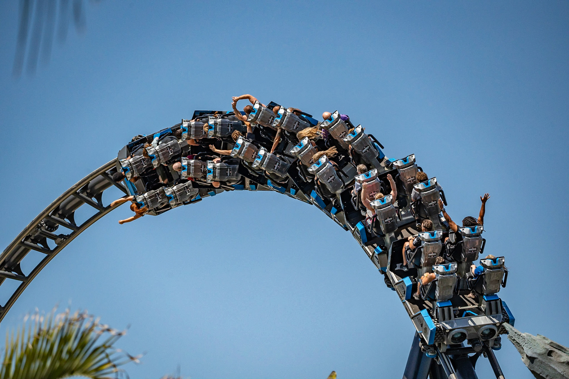 Photo by Jon Roost (www.jonroostphotos.com)