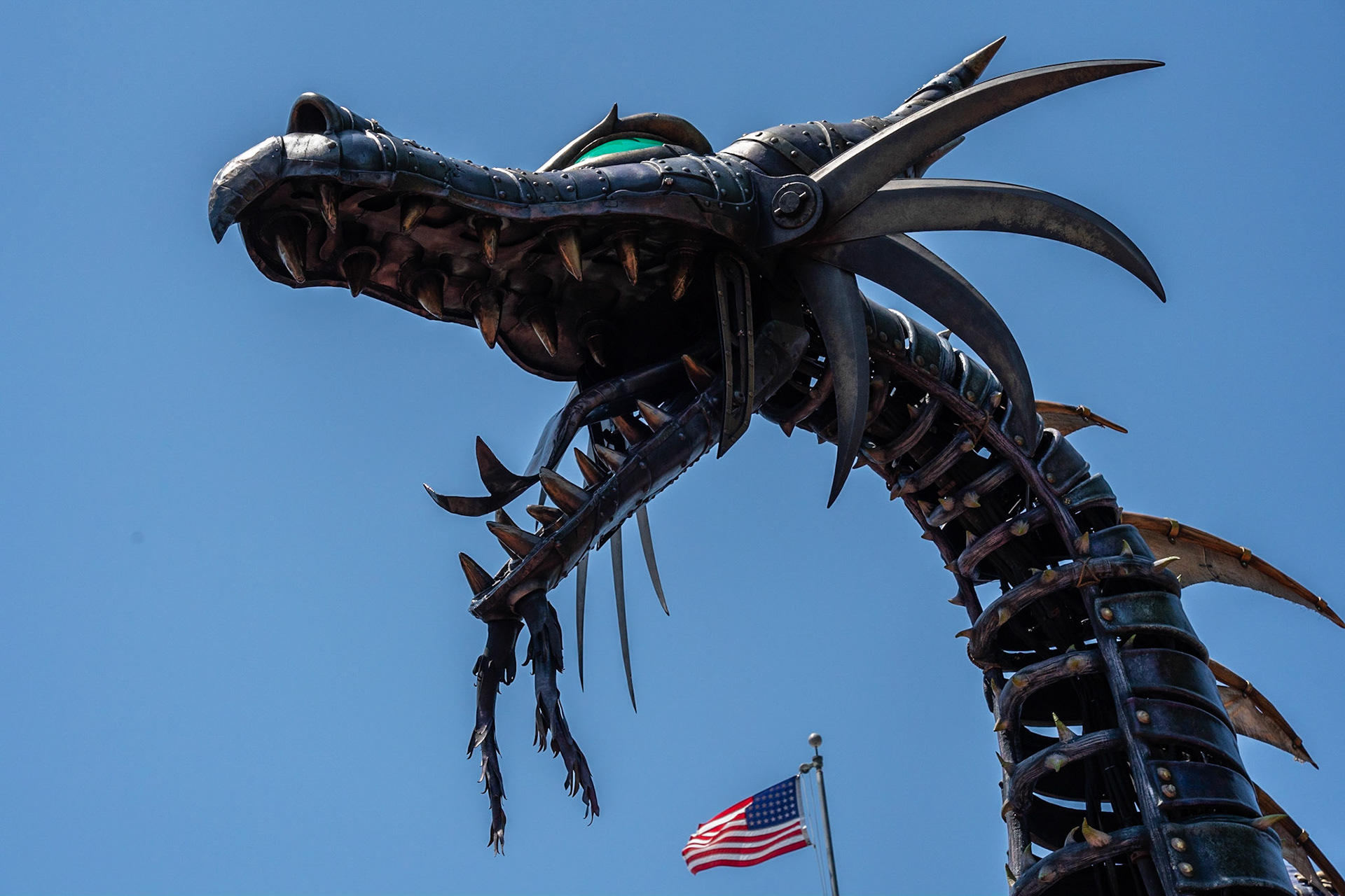 Photo by Jon Roost (www.jonroostphotos.com)