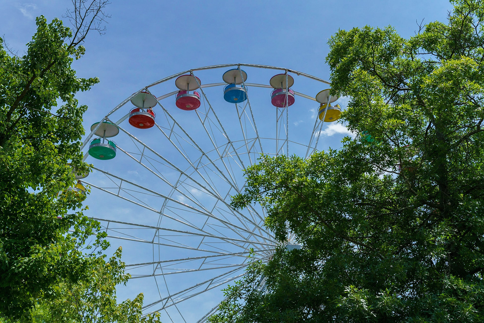 Photo by Jon Roost (www.jonroostphotos.com)