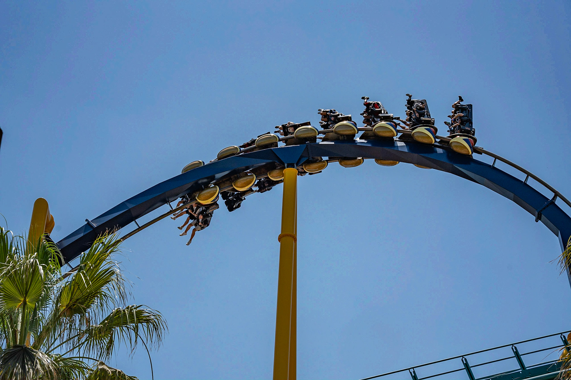 Photo by Jon Roost (www.jonroostphotos.com)