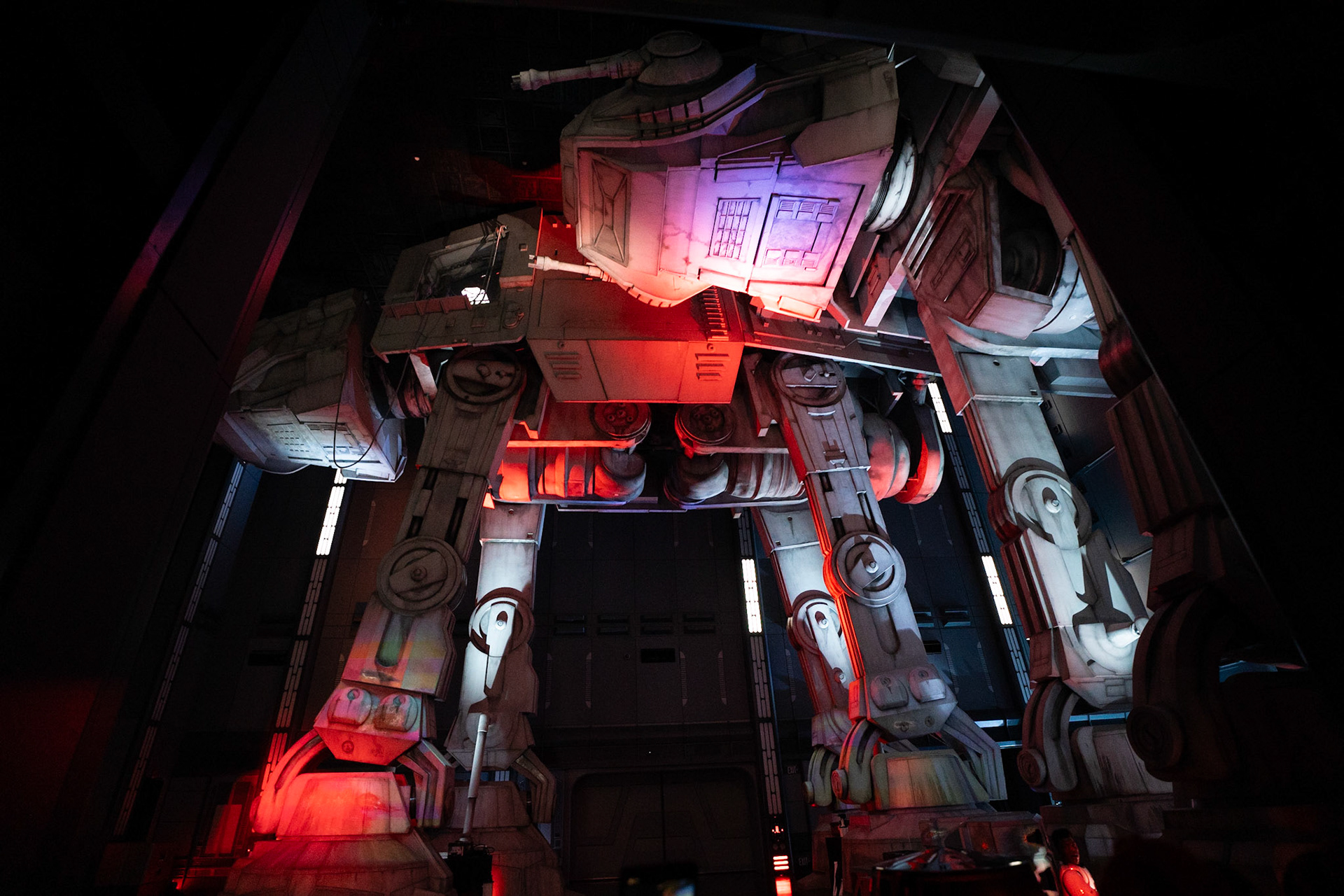 Photo by Jon Roost (www.jonroostphotos.com)