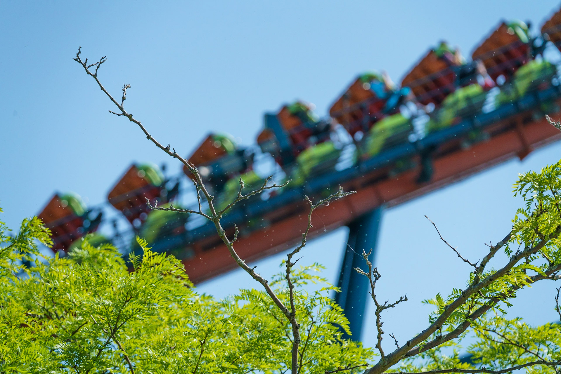 Photo by Jon Roost (www.jonroostphotos.com)