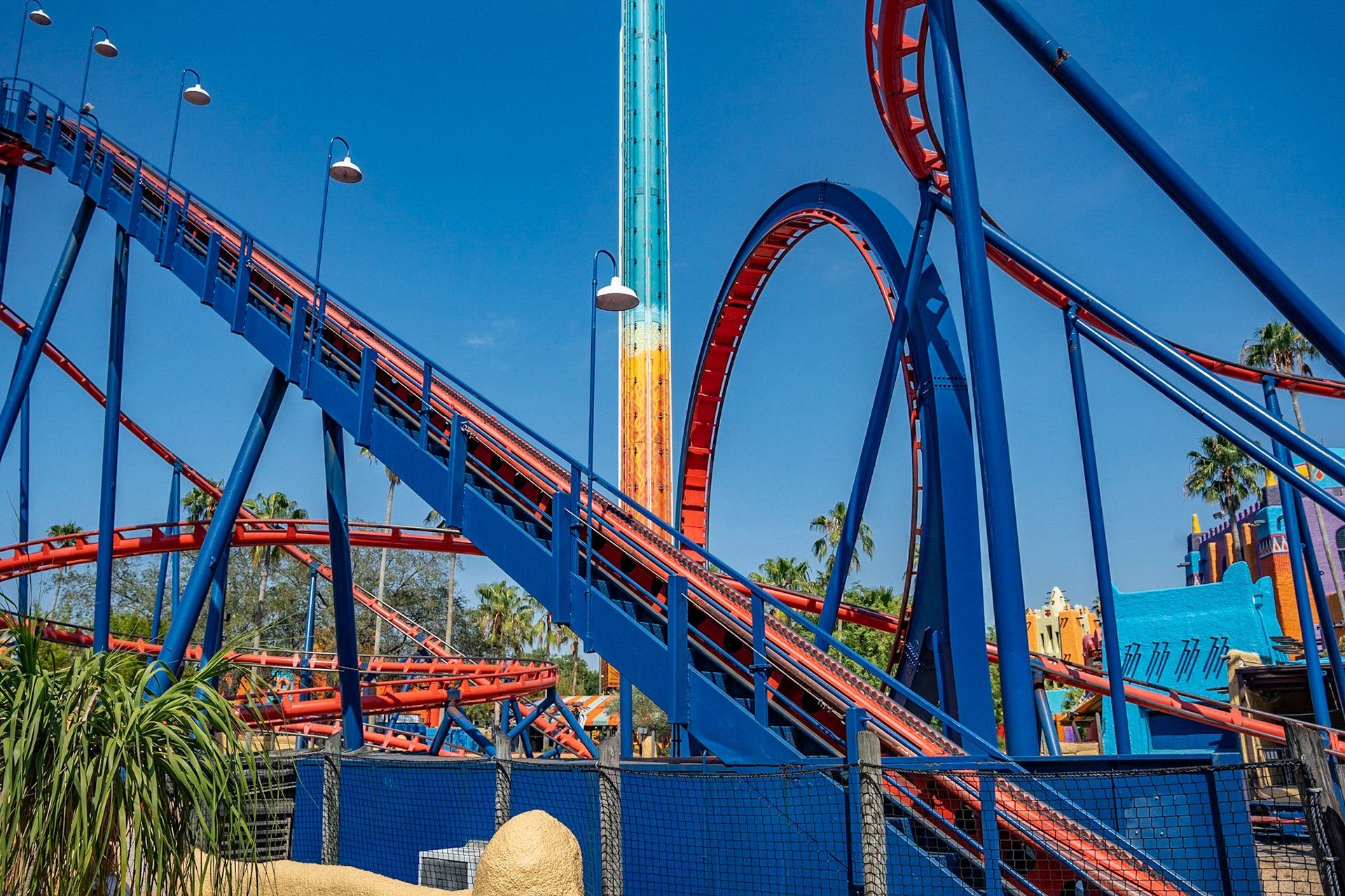 Photo by Jon Roost (www.jonroostphotos.com)