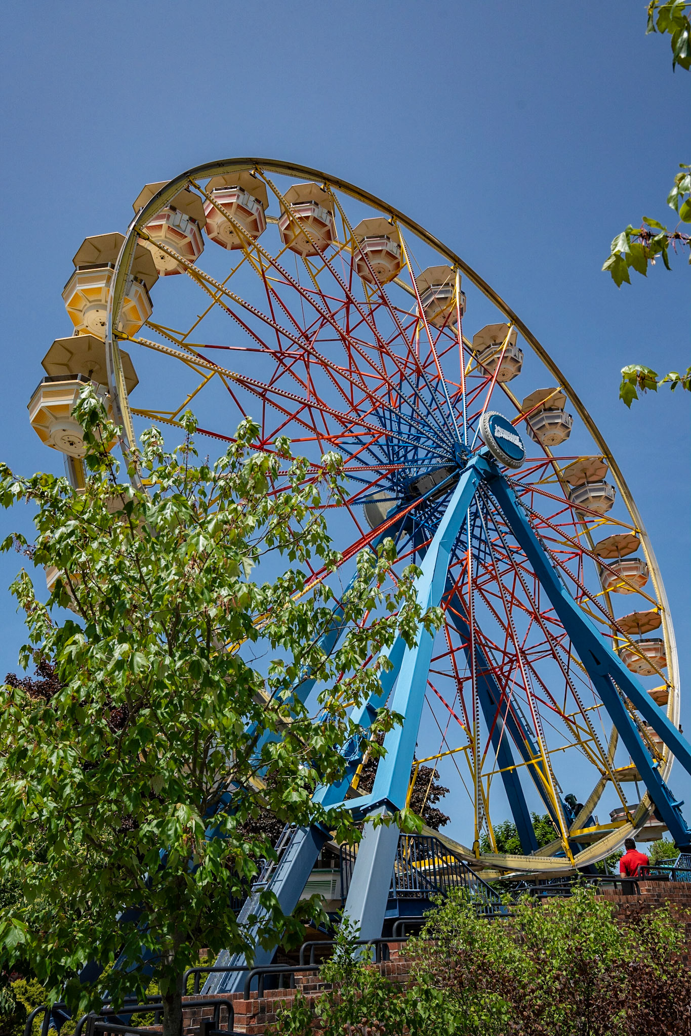 Photo by Jon Roost (www.jonroostphotos.com)