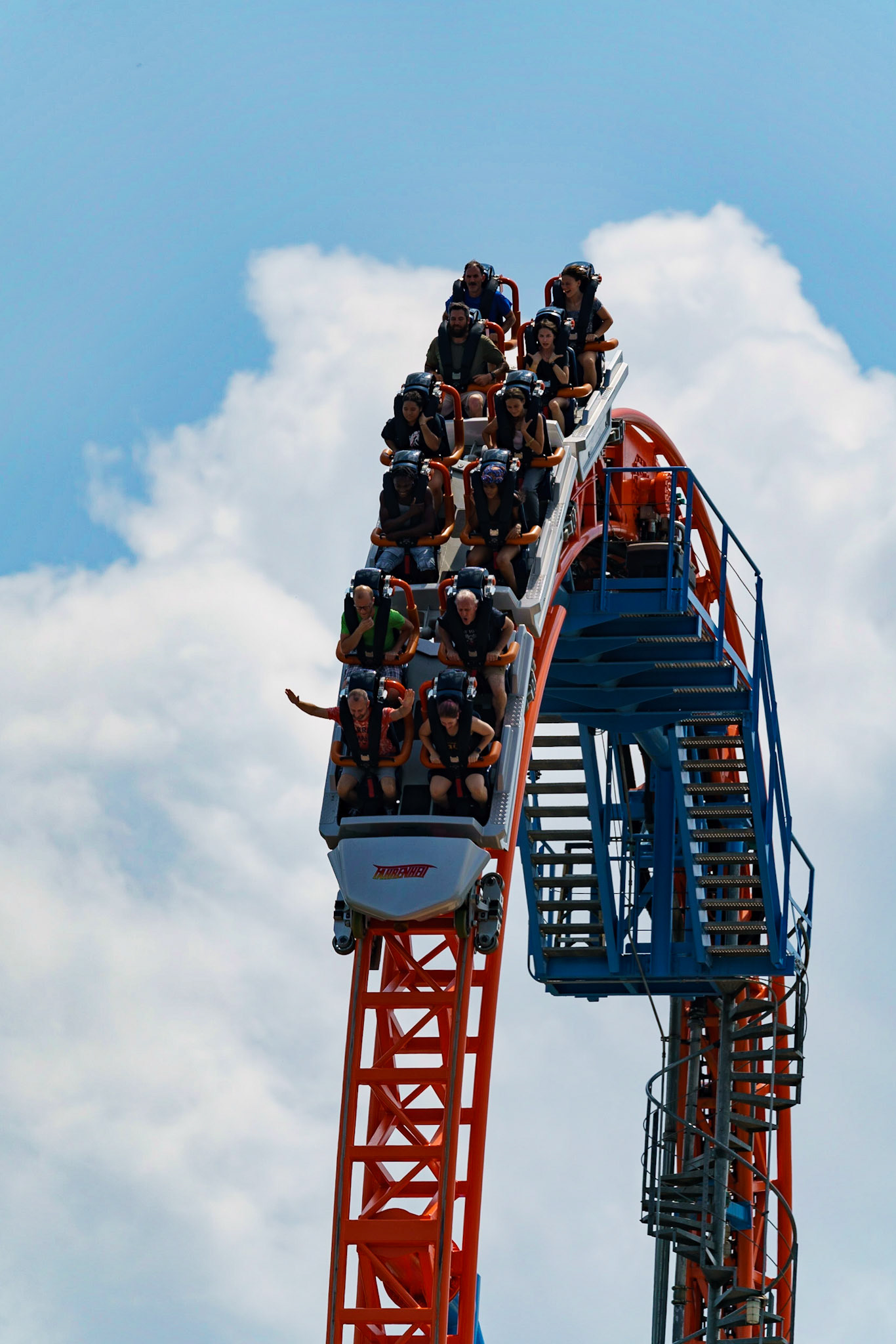 Photo by Jon Roost (www.jonroostphotos.com)