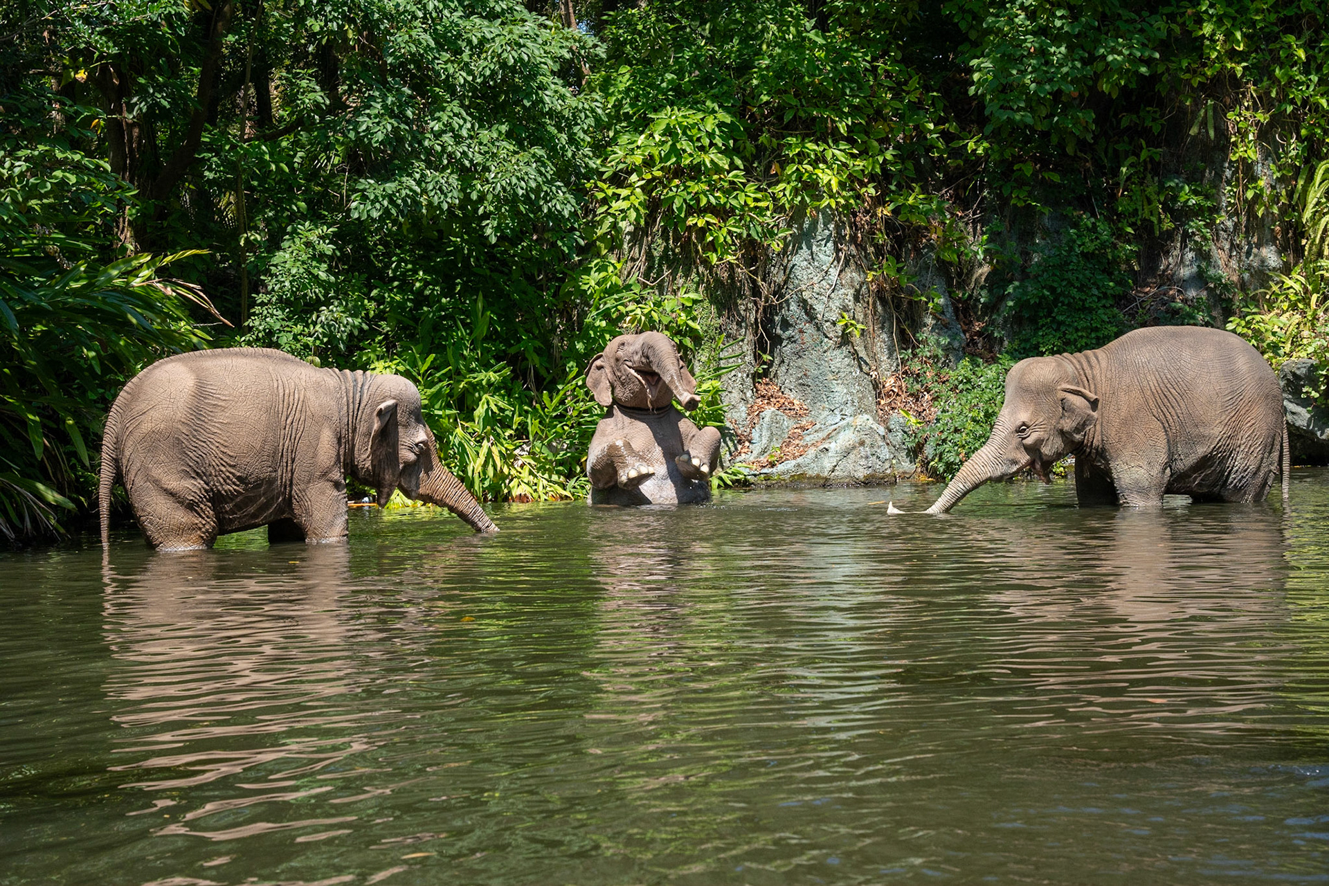 Photo by Jon Roost (www.jonroostphotos.com)