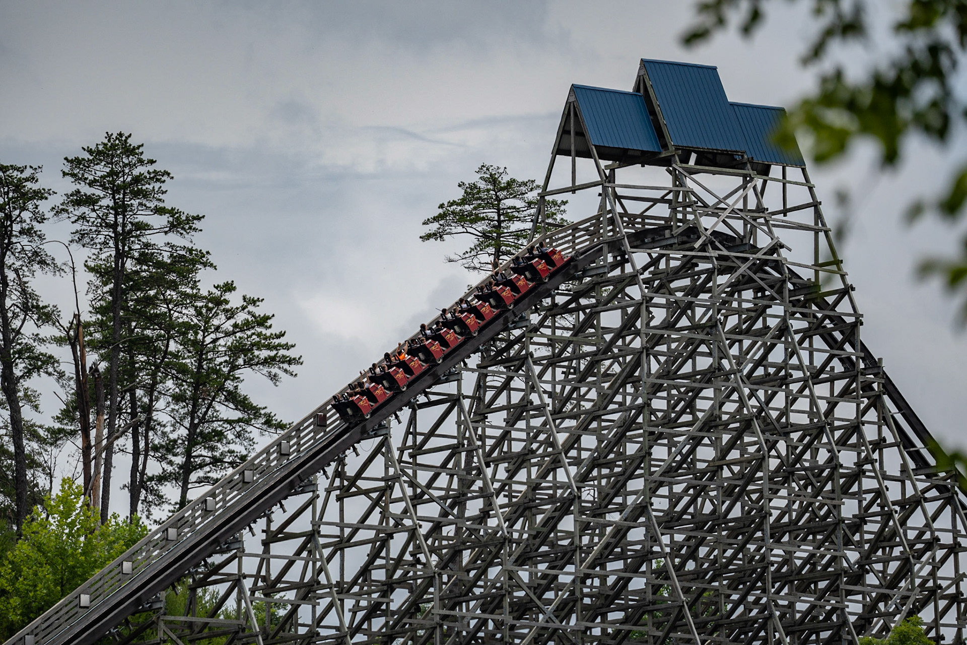 Photo by Jon Roost (www.jonroostphotos.com)