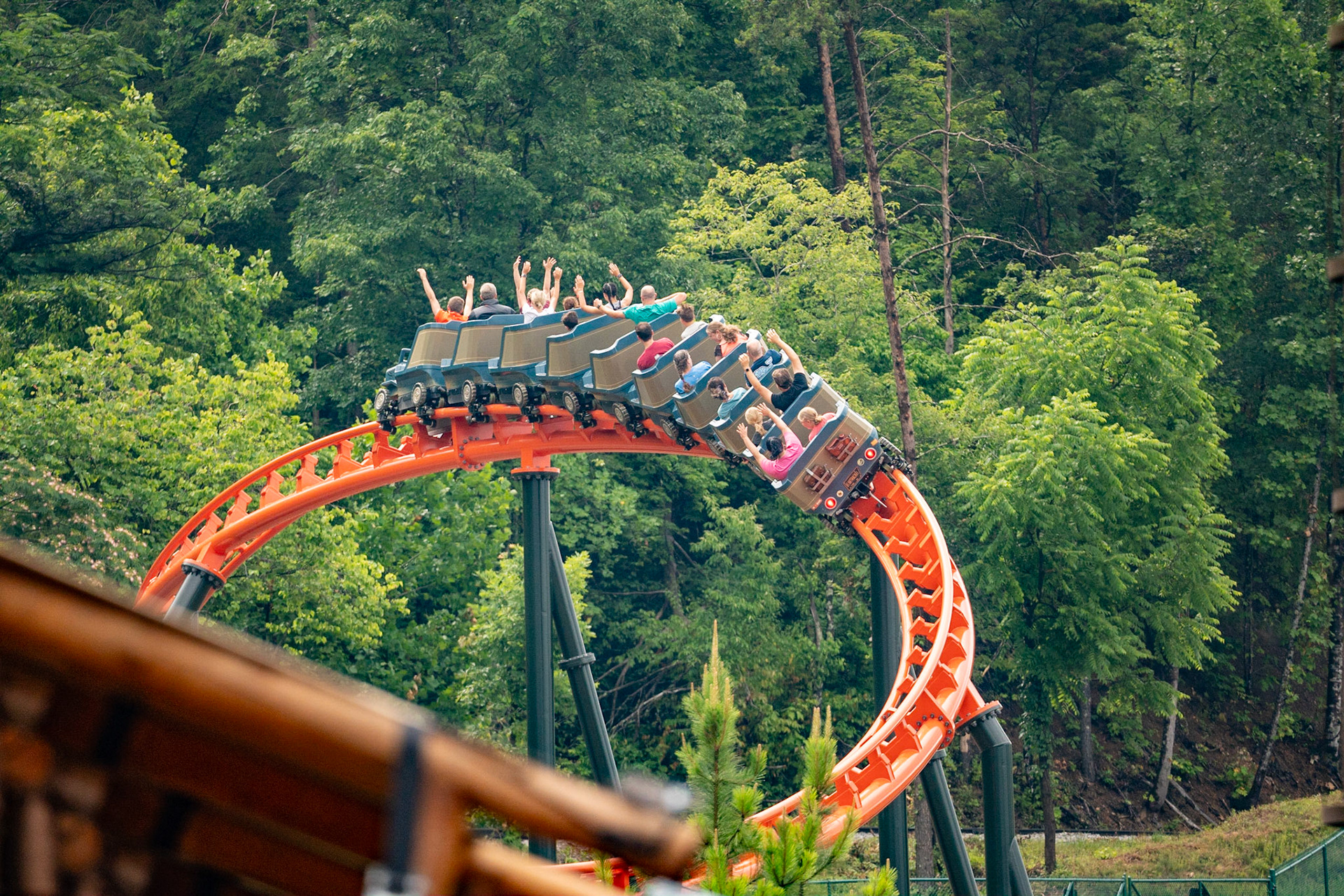 Photo by Jon Roost (www.jonroostphotos.com)