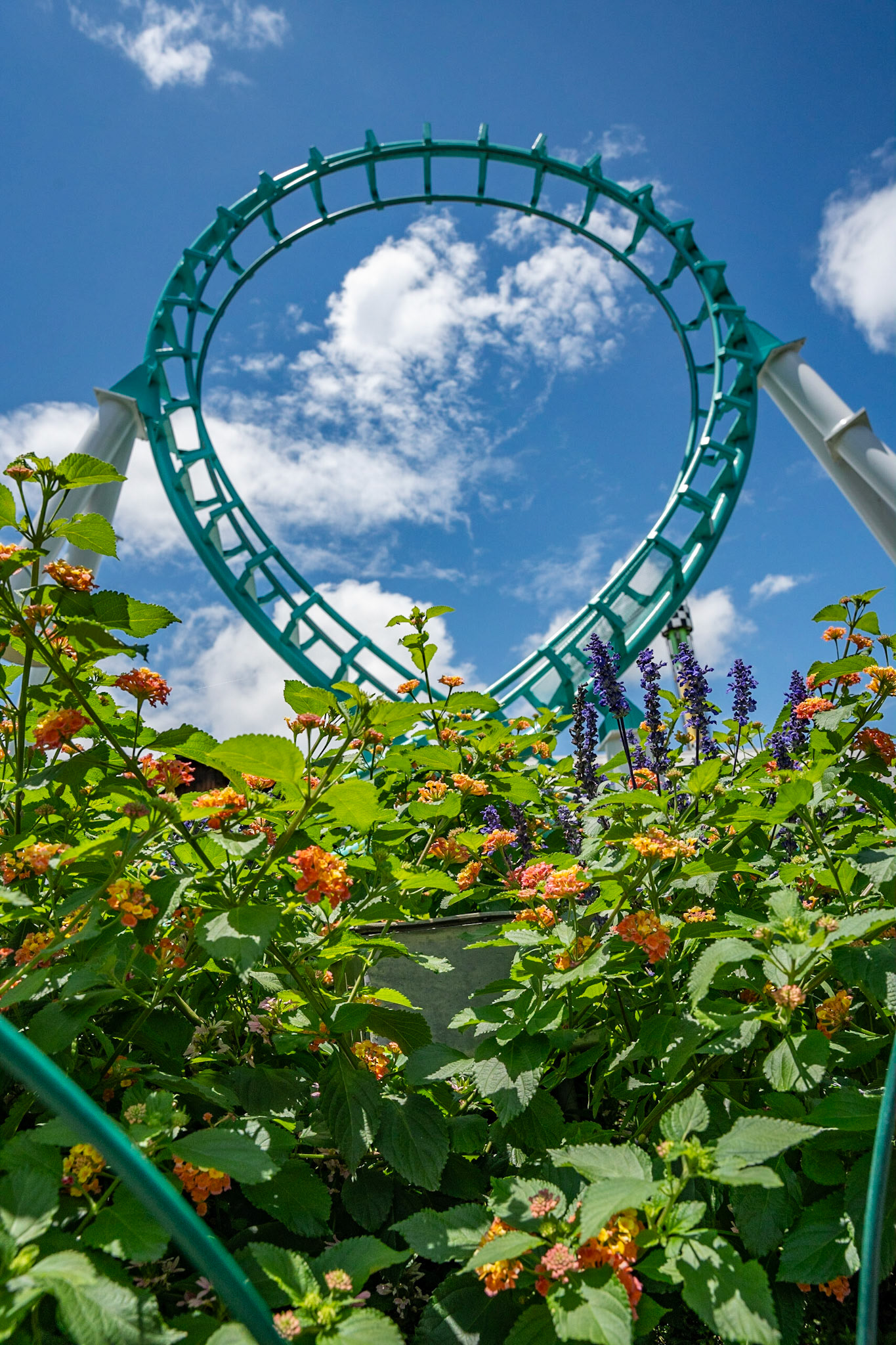 Photo by Jon Roost (www.jonroostphotos.com)